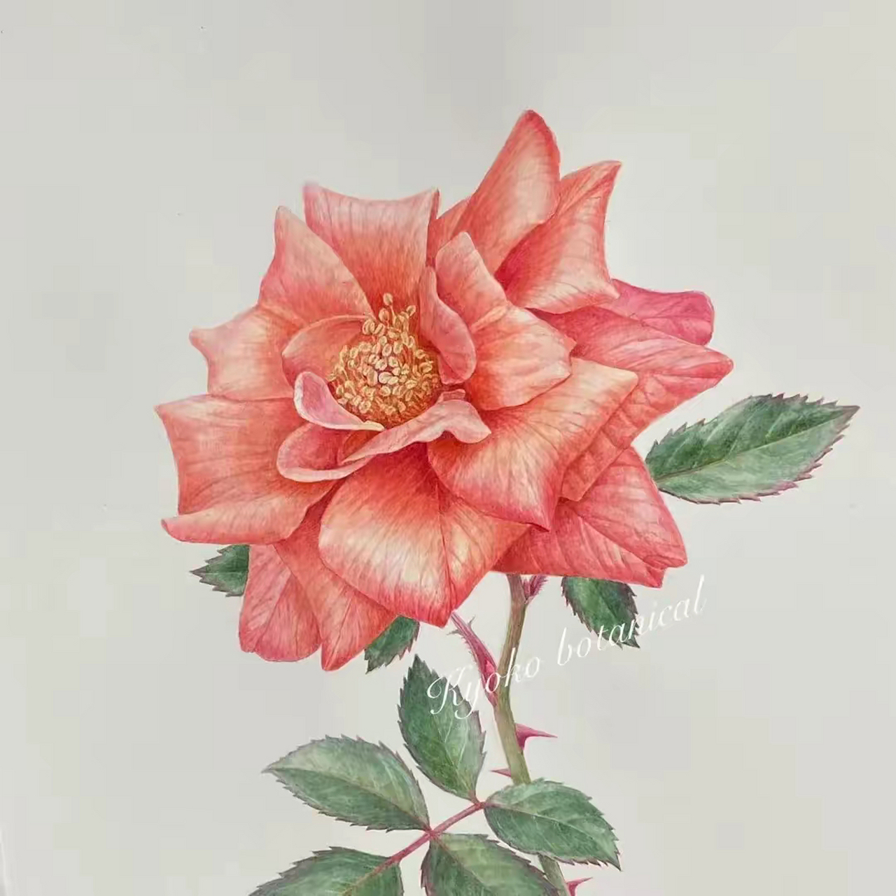 童趣 | 彩铅画花 春风十里,不如你.