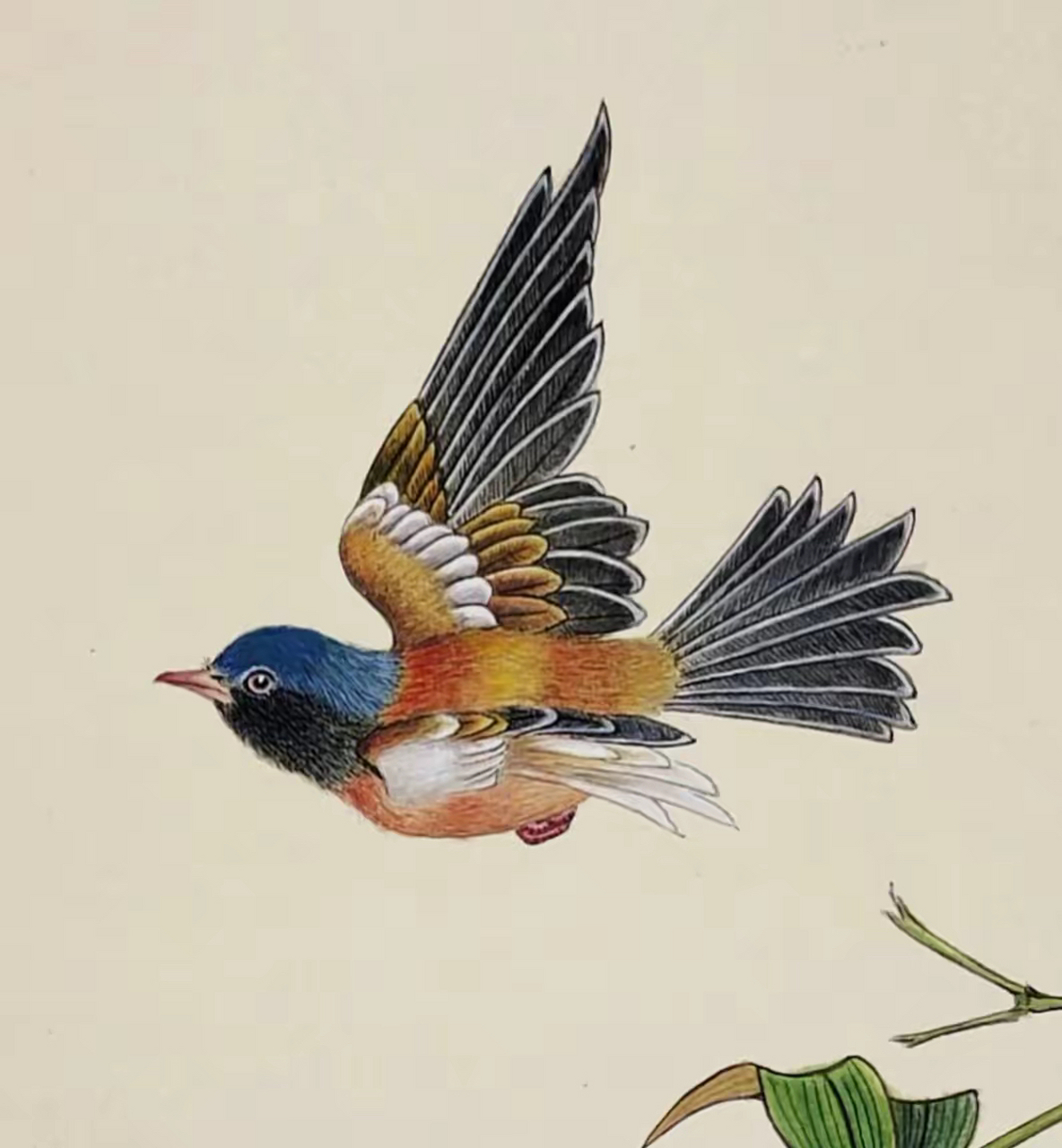 东方艺术|工笔画鸟