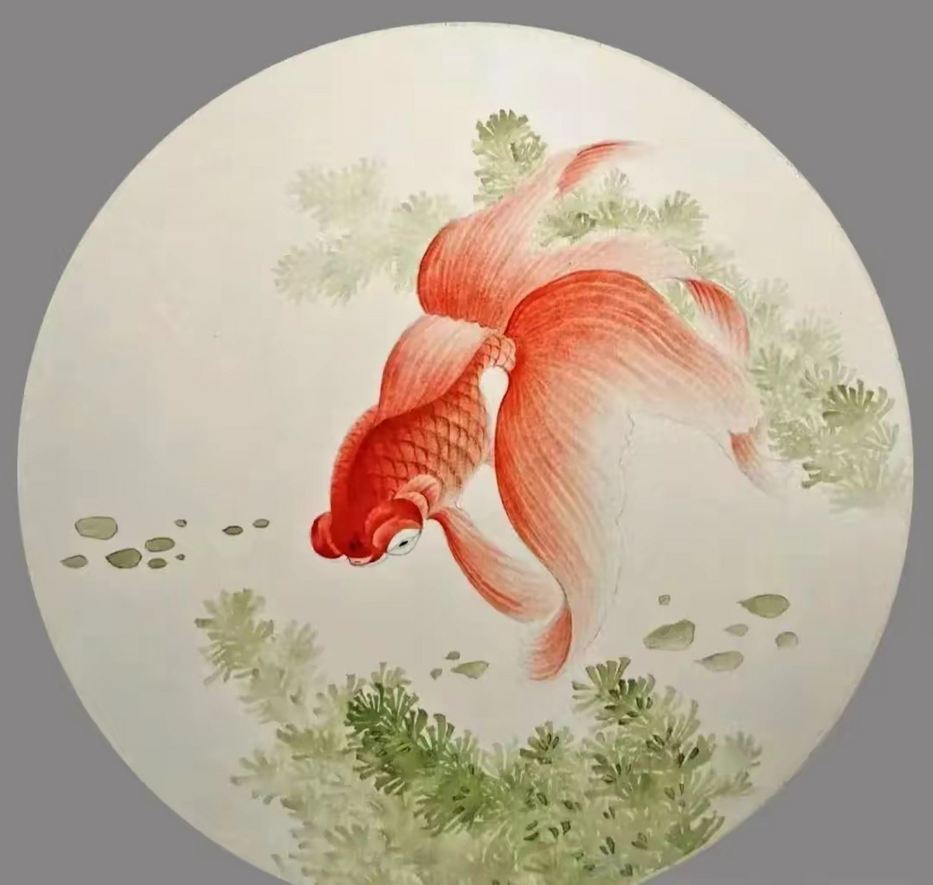 国画|金鱼团扇作品