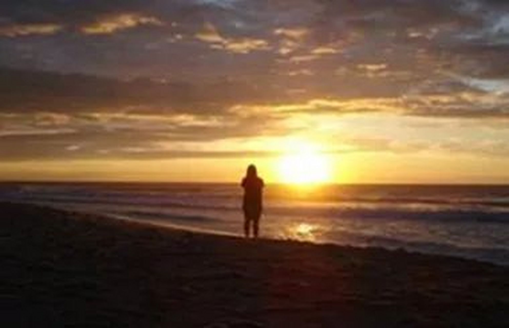 席慕容《岁月》    好多年没有见面的朋友,再见面时,觉得他们都有一点