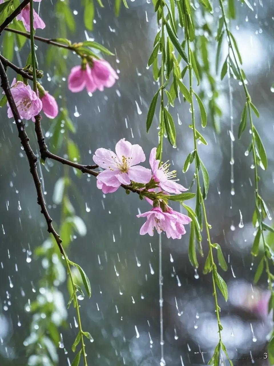 七绝 《暮春》 暮春时节雨绵绵,花落无声水自闲. 柳絮飘飞何处去?