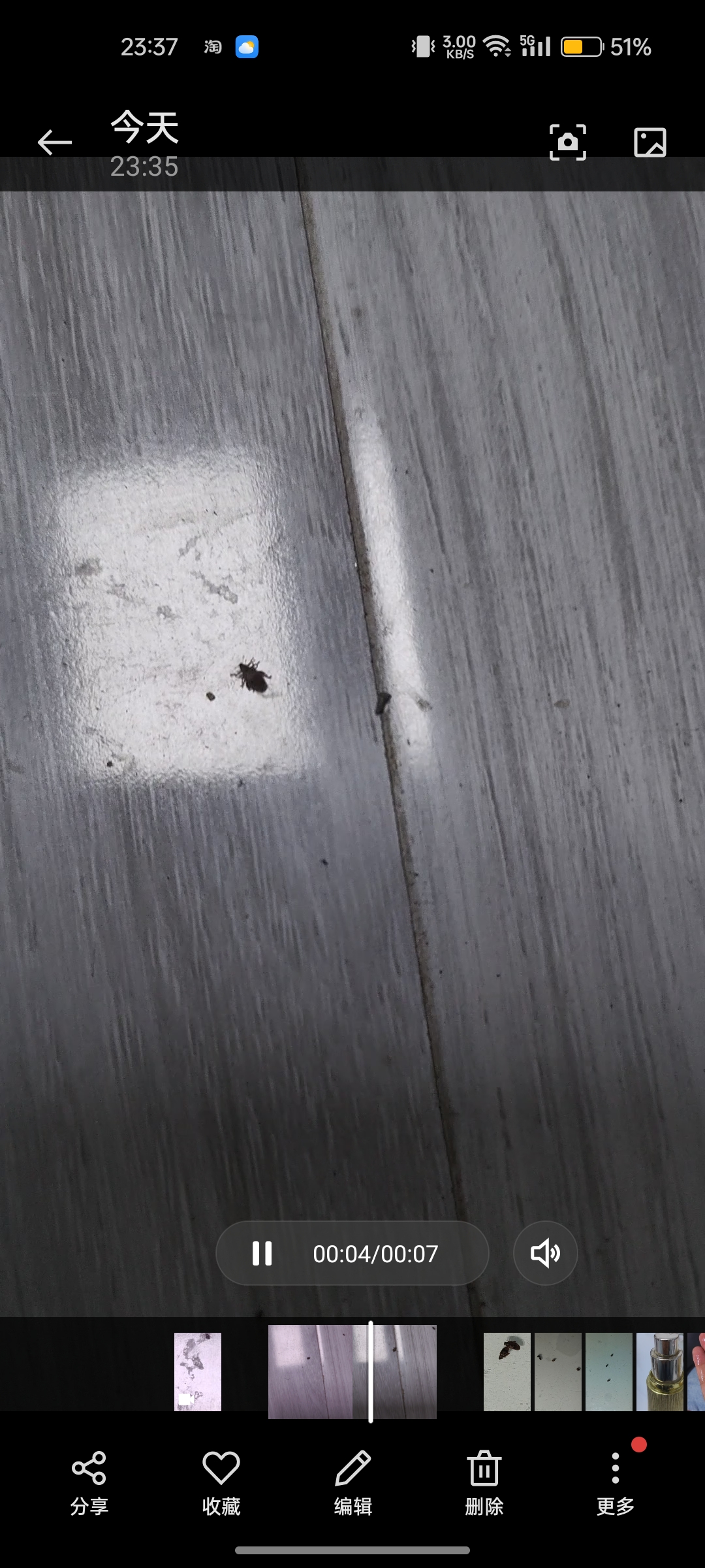 哪位大侠知道这是蜱虫吗?有翅膀,会跳