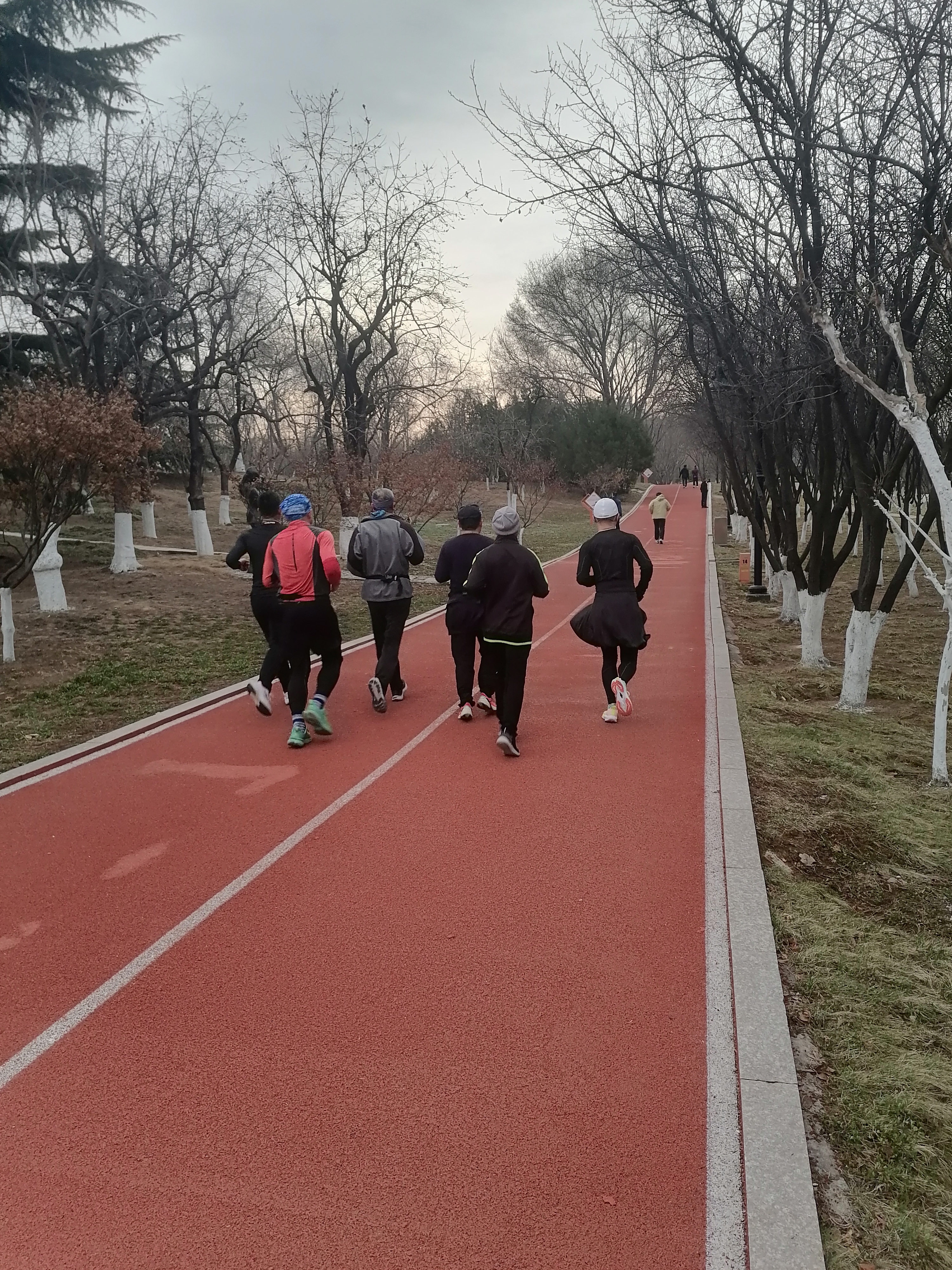 莲花池公园跑步图片