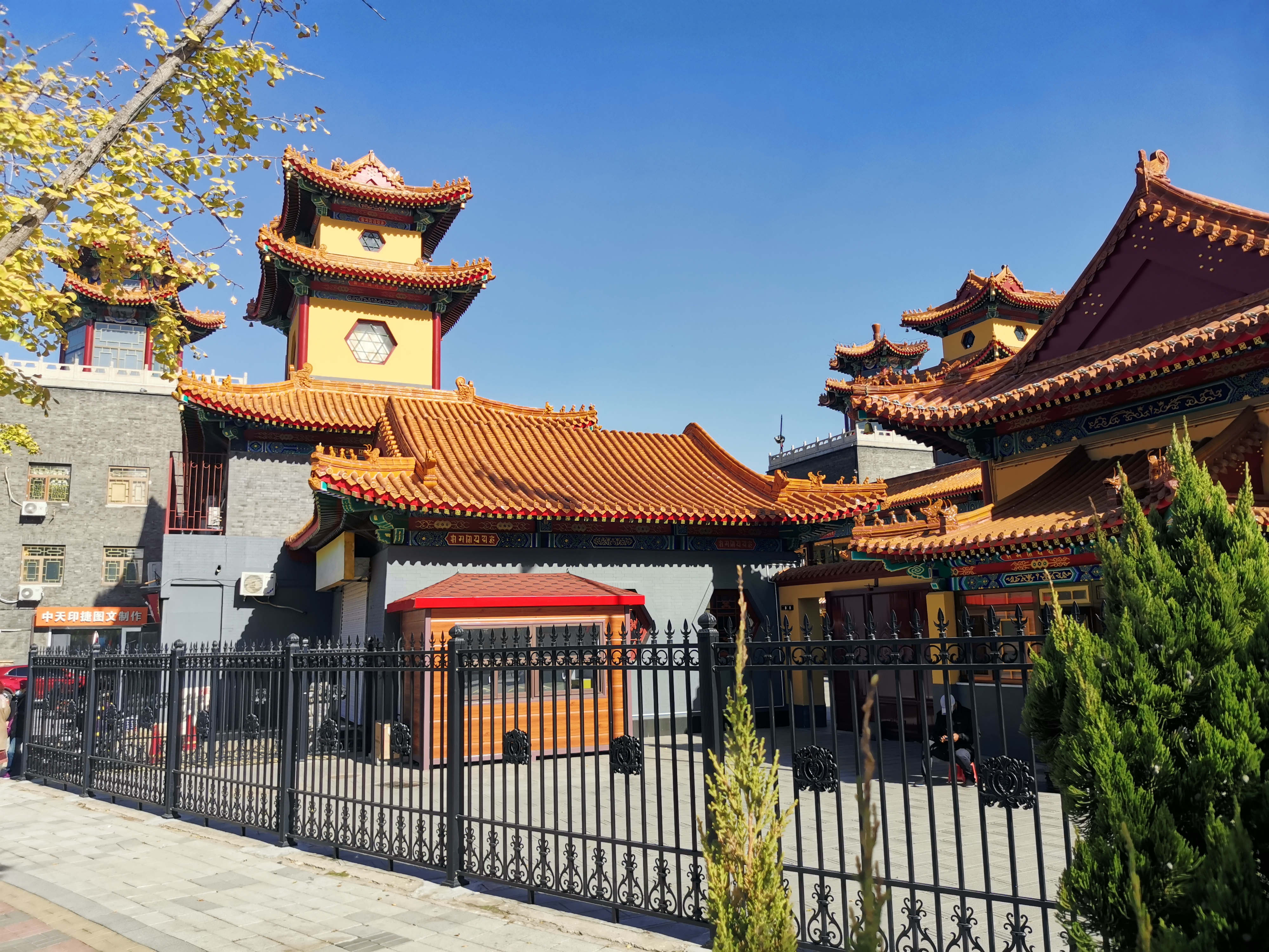 秋阳璀璨,领略天津荐福观音寺,虽然座落繁华市区,但却非常幽静.