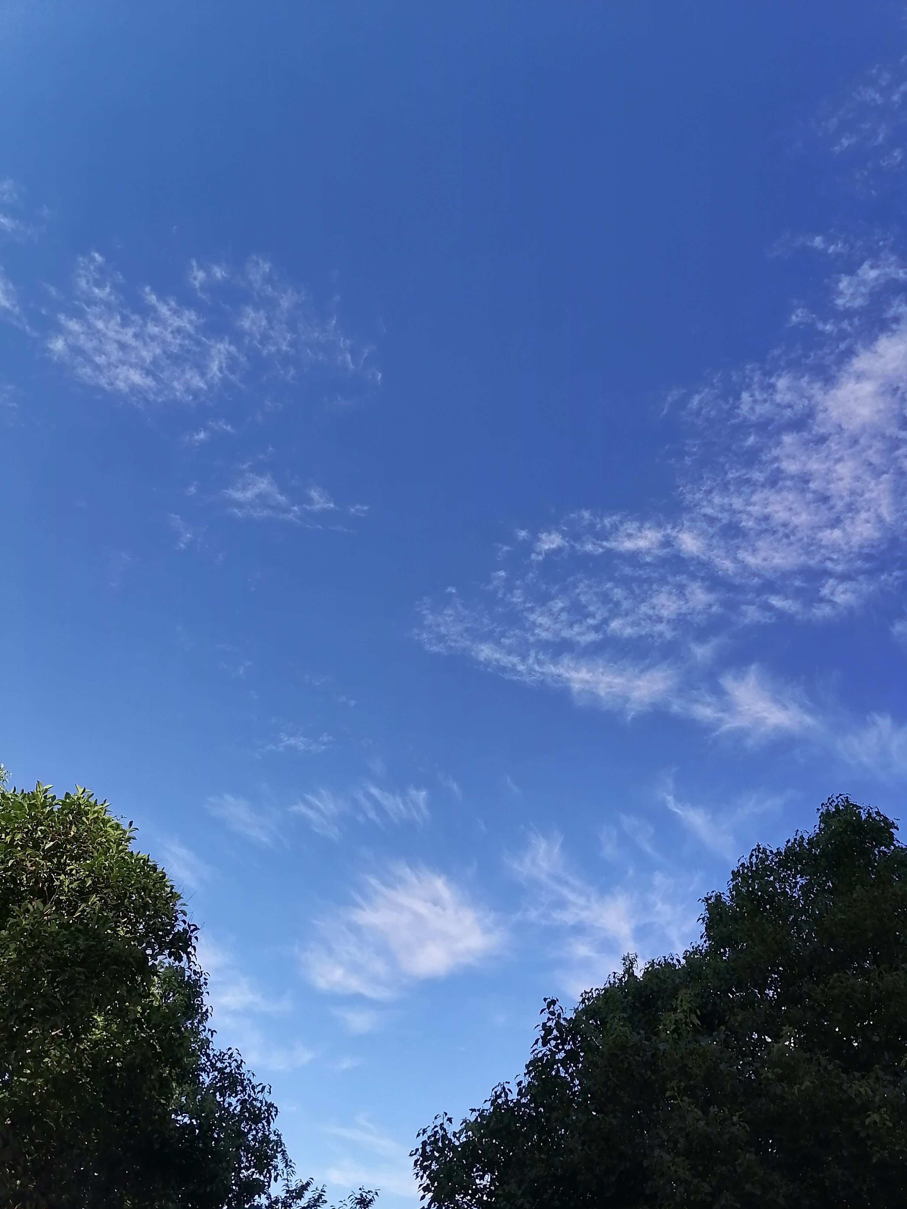 动态连更挑战#  早上散步时拍的天空,和午后在家里拍的天空,对比评创