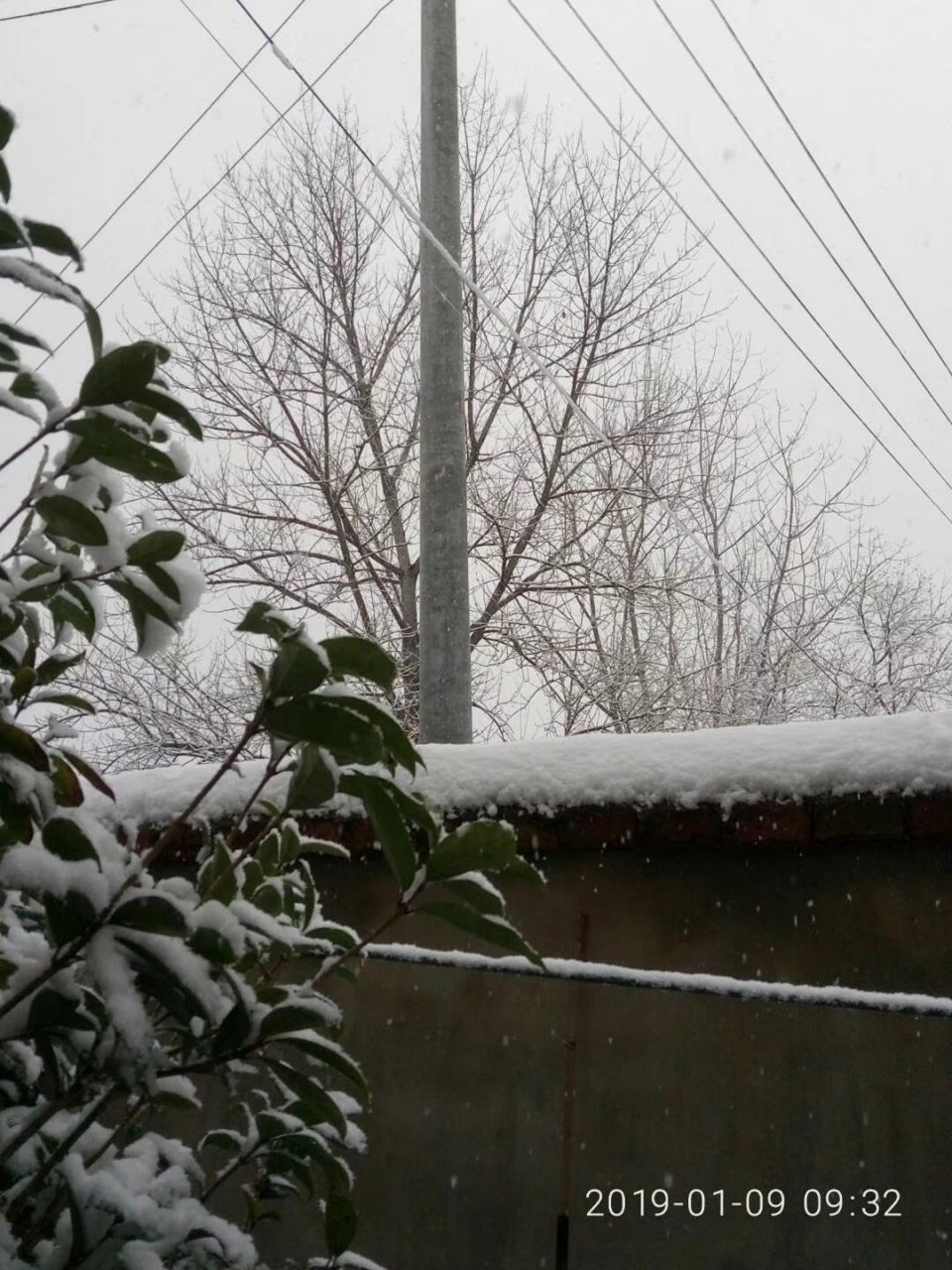 《惊白 雪,在你睡着的夜里 不停地下 所以天明的时候 你看见的是一