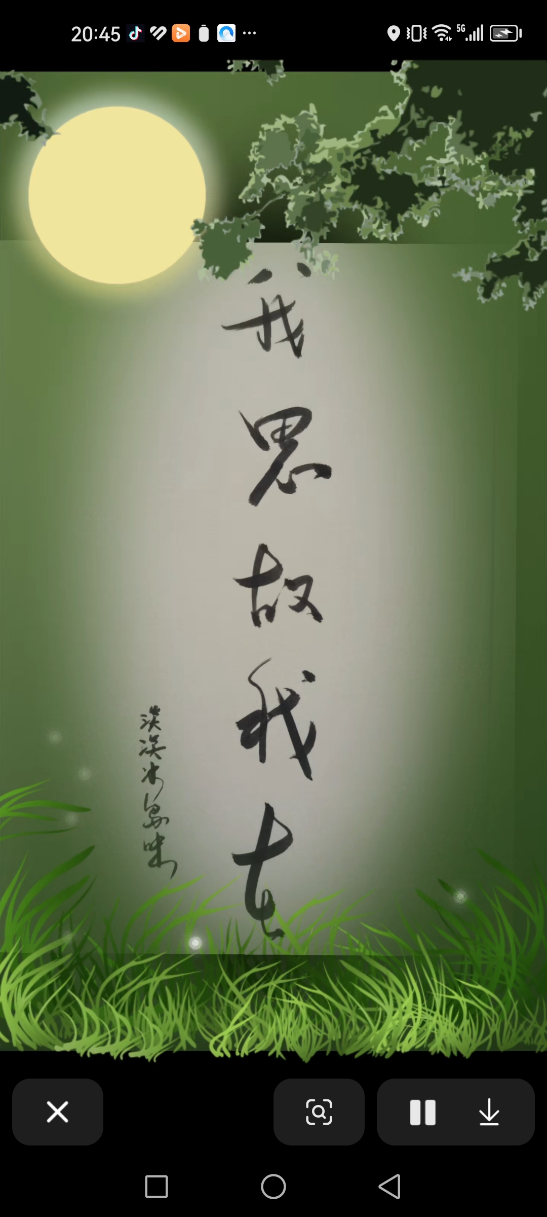 又一年了,我思故我在!