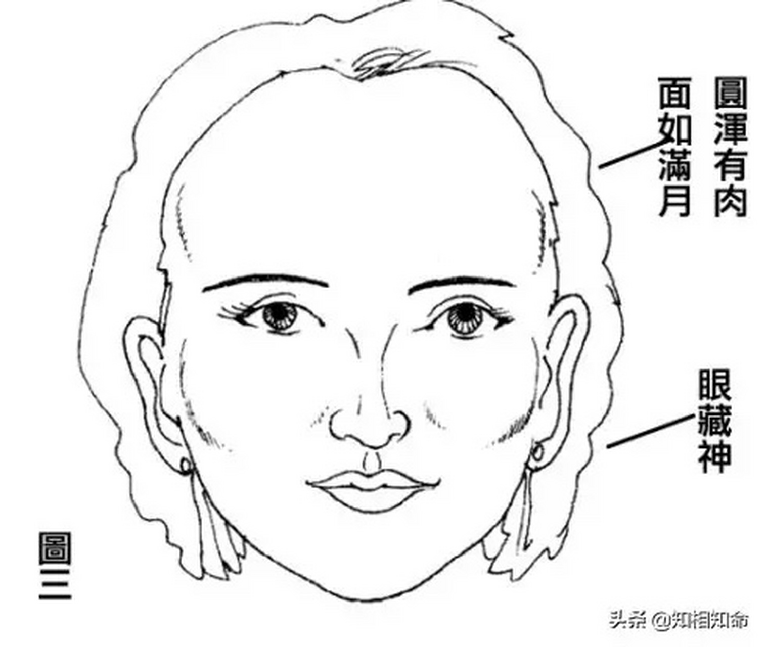 【面相之三颧面 三颧面者,即是左右颧骨和前额骨同样粗而向外突,又