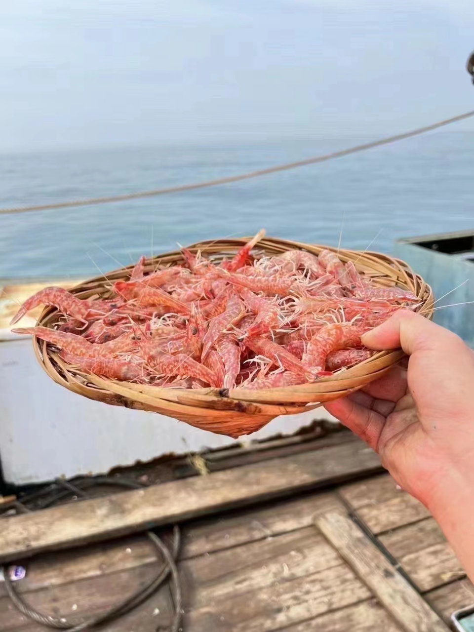 樱花虾,!挑好沙线,又甜又脆 纯天然海虾!