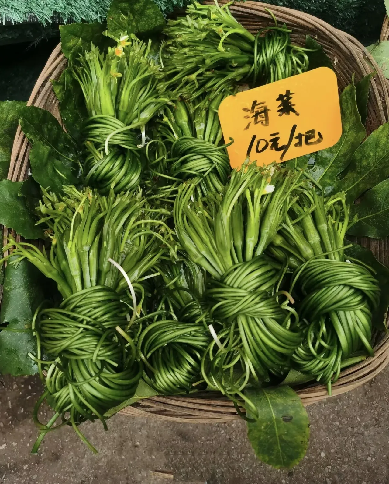 "海菜"第一感觉是靠海边才有的,朋友说是也不一定全是,海菜只是统称.