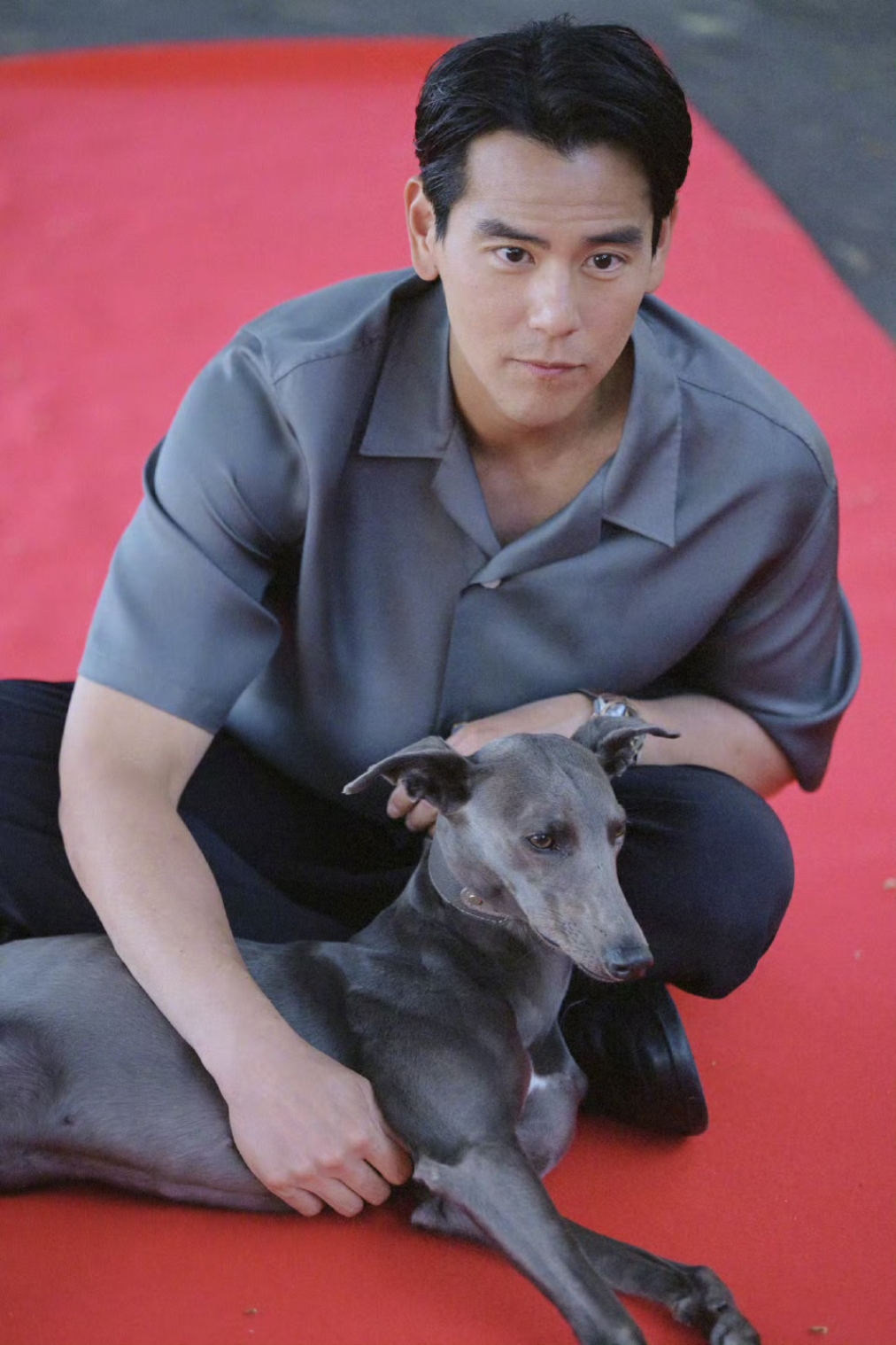 《狗阵》是由管虎执导,彭于晏,佟丽娅领衔主演的剧情电影,讲述了假释