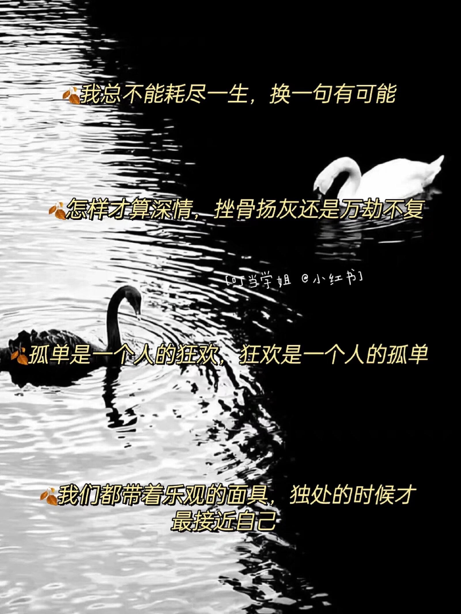 还是算了吧,我总不能耗尽一生,去换一句可能#情感# #文案# #暖心心语