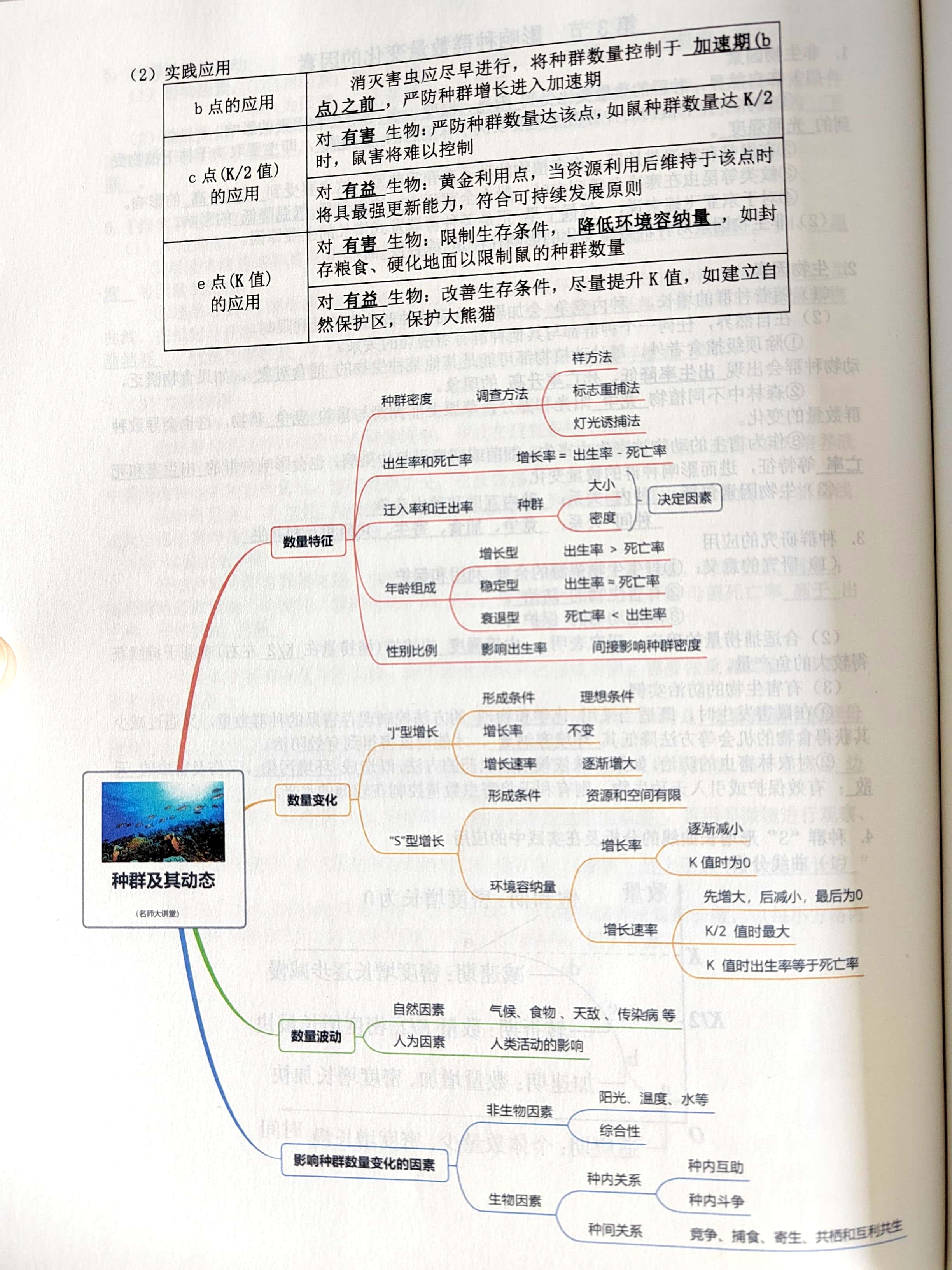 生物种群思维导图图片