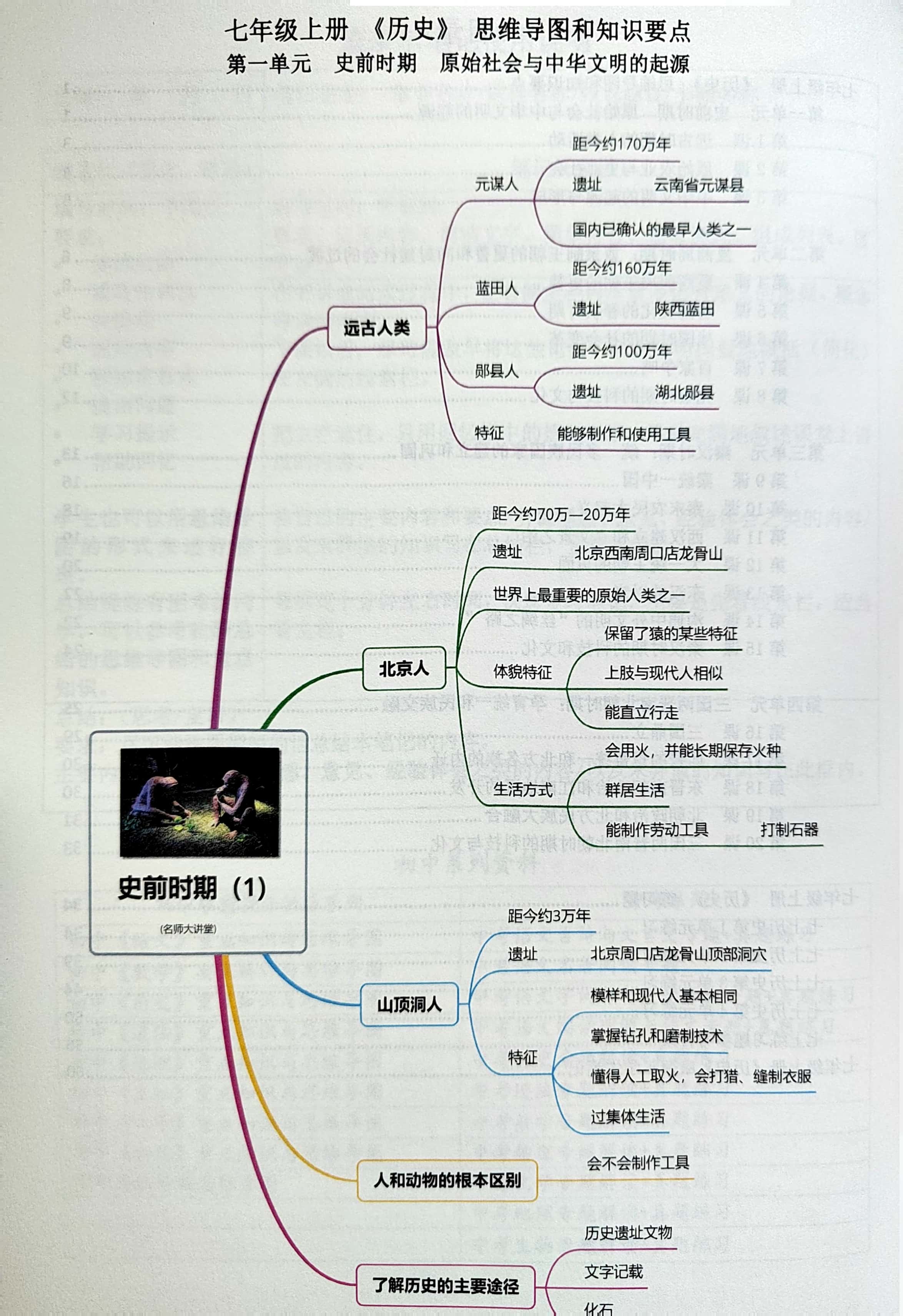 基地思维导图知识梳理图片