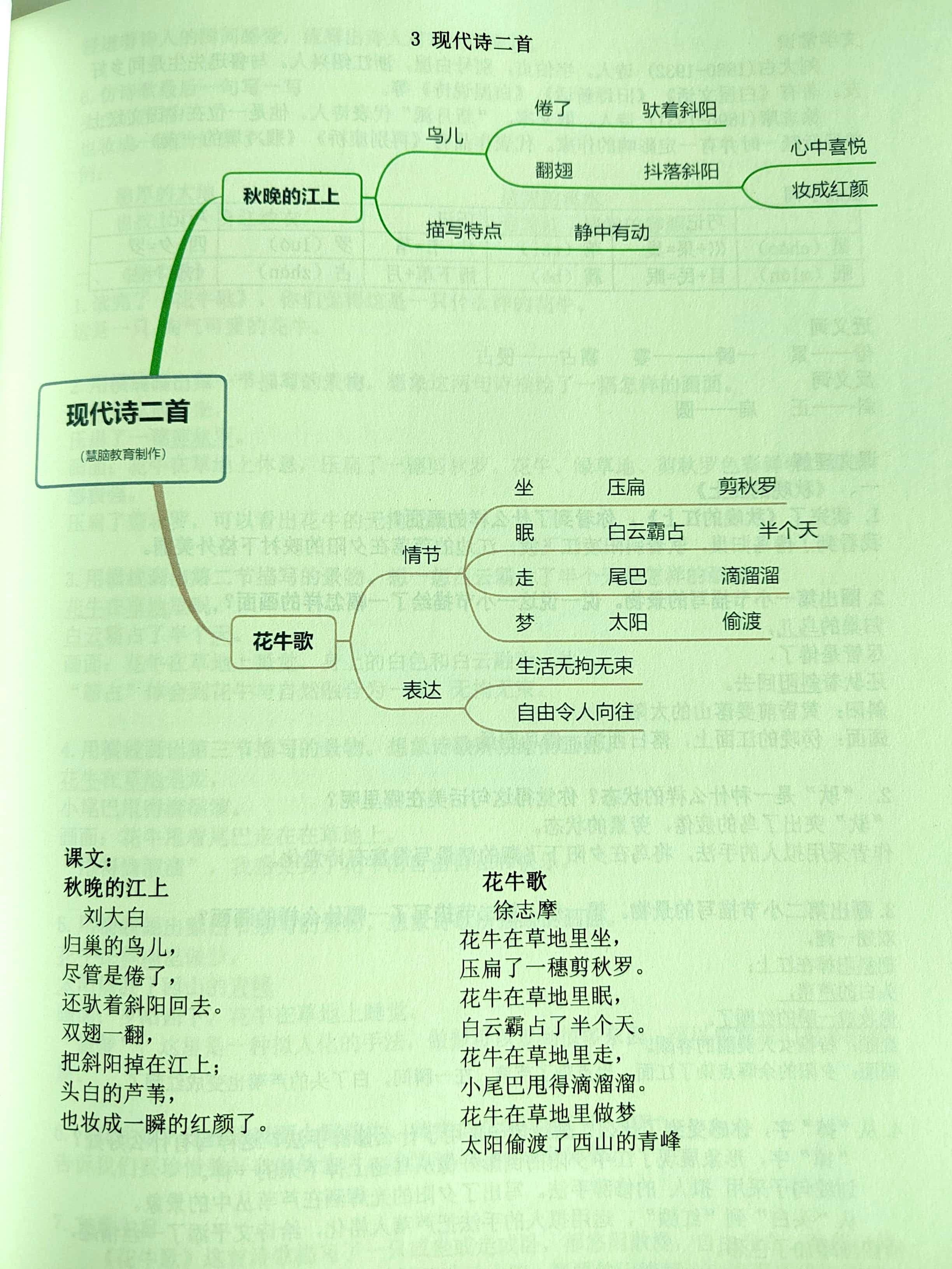 小学4年级上册语文第一单元课文知识点梳理 思维导图