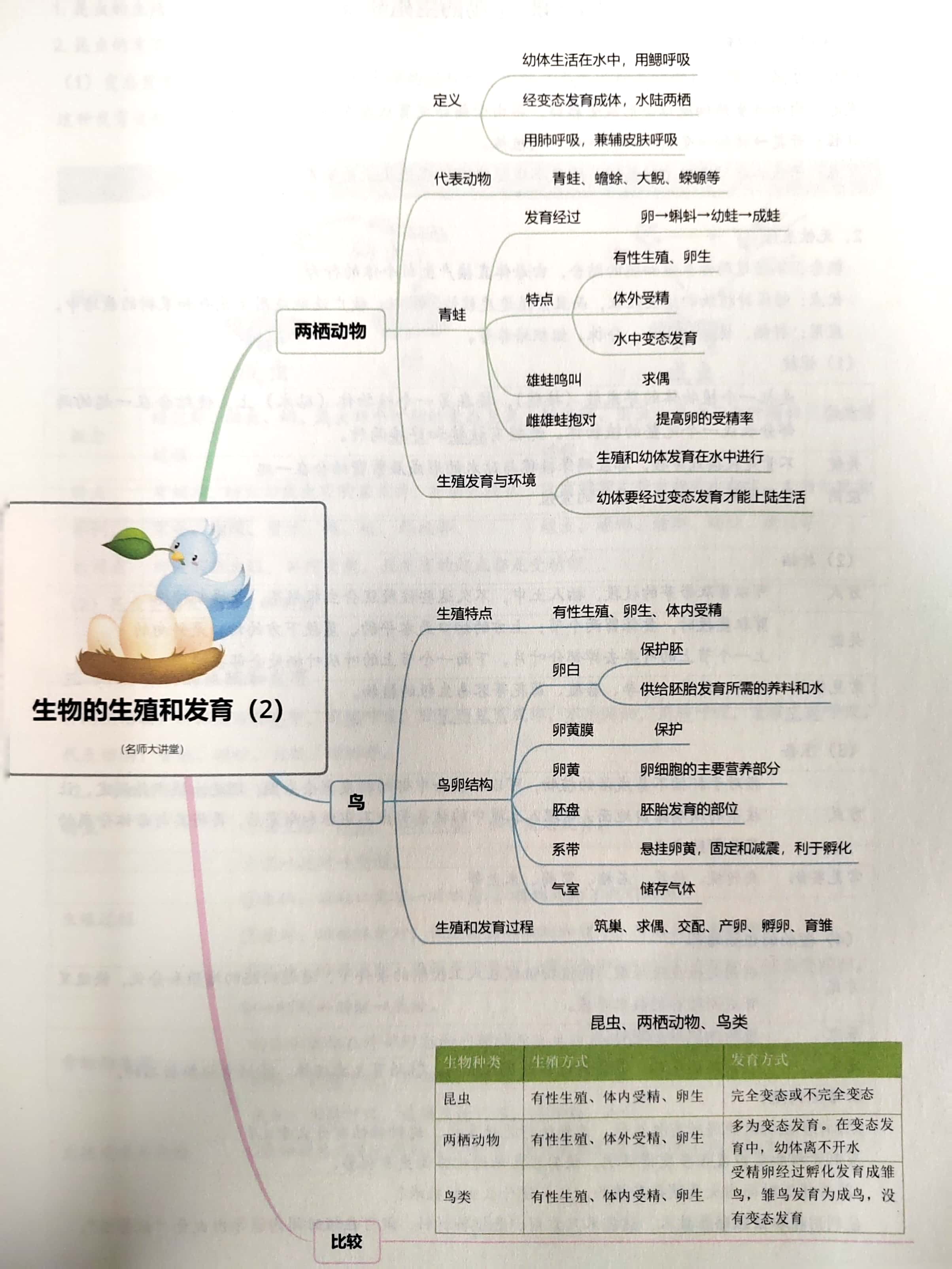 八年级下册生物常考重点归纳,简明扼要,有助于理解记忆,初中生可收藏