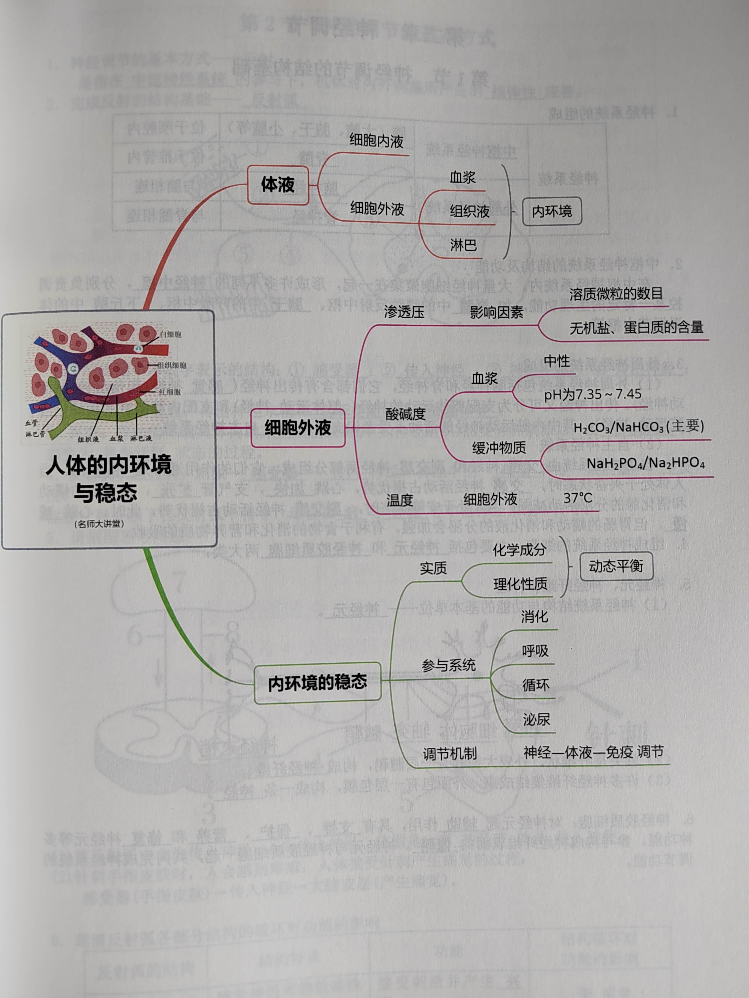 人体内环境成分图片