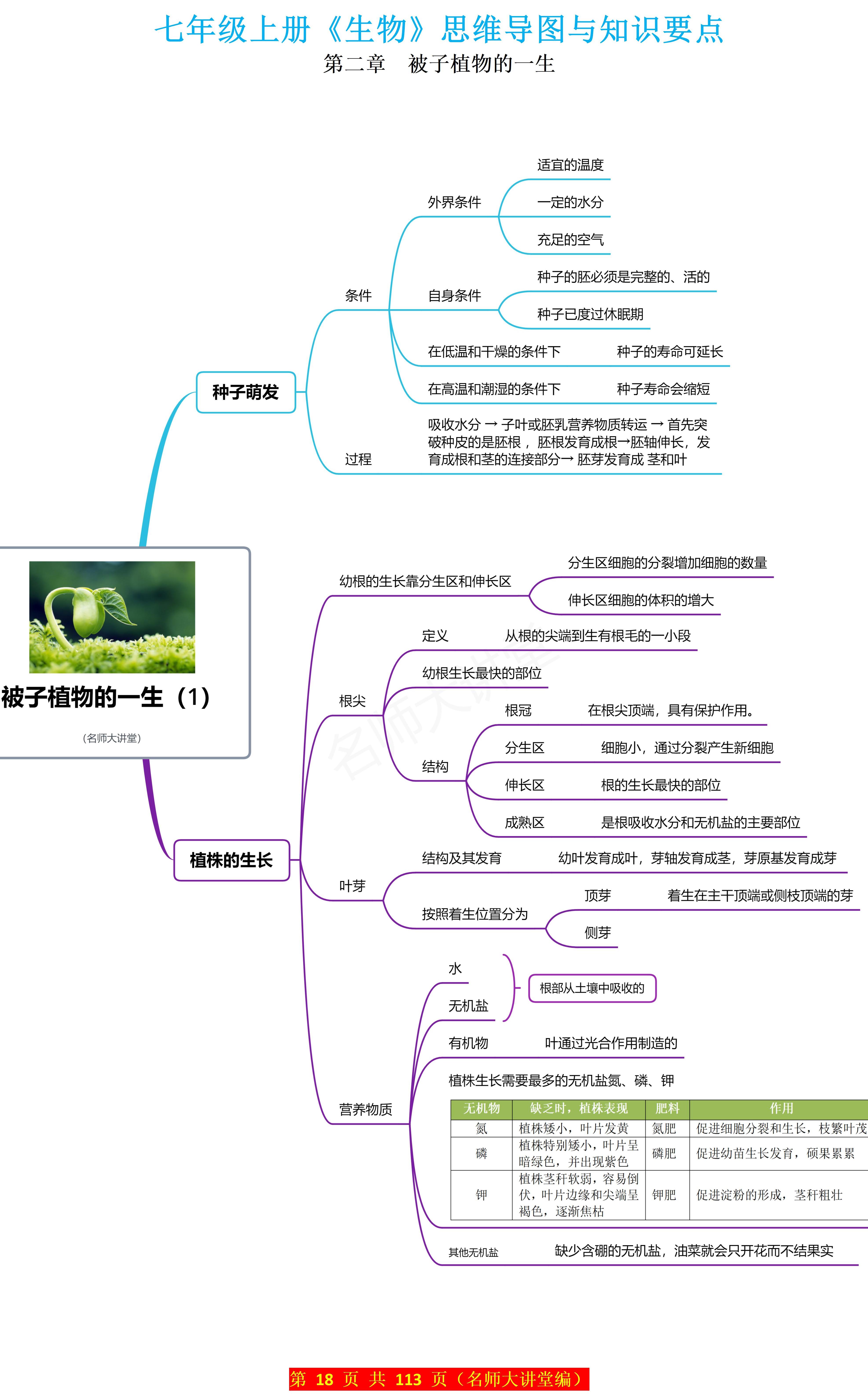 学霸提分秘籍七上生物~植物开花结果的思维导图