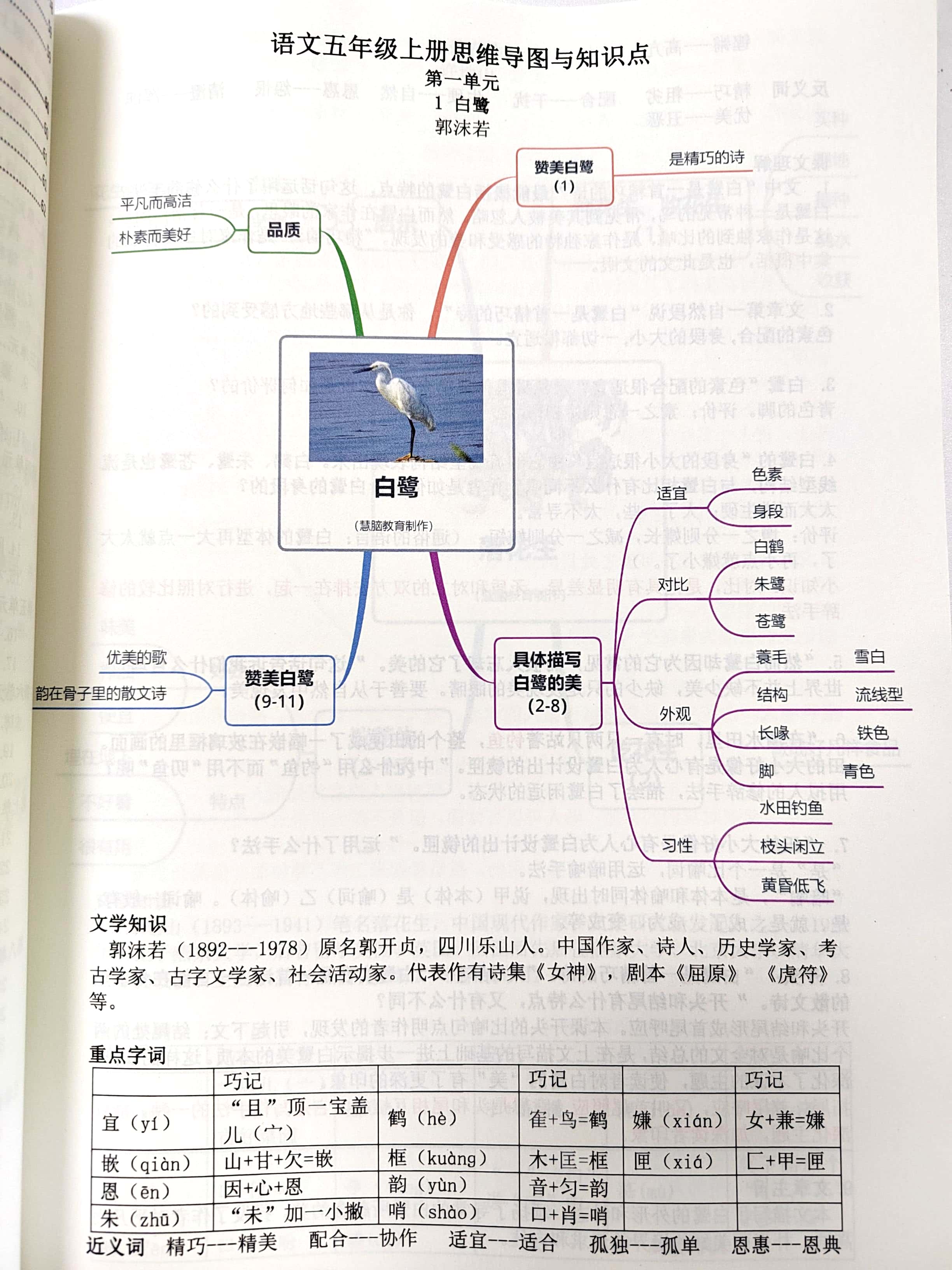 小学五年级上册语文课文思维导图梳理 思维导图是对知识的结构化,系统