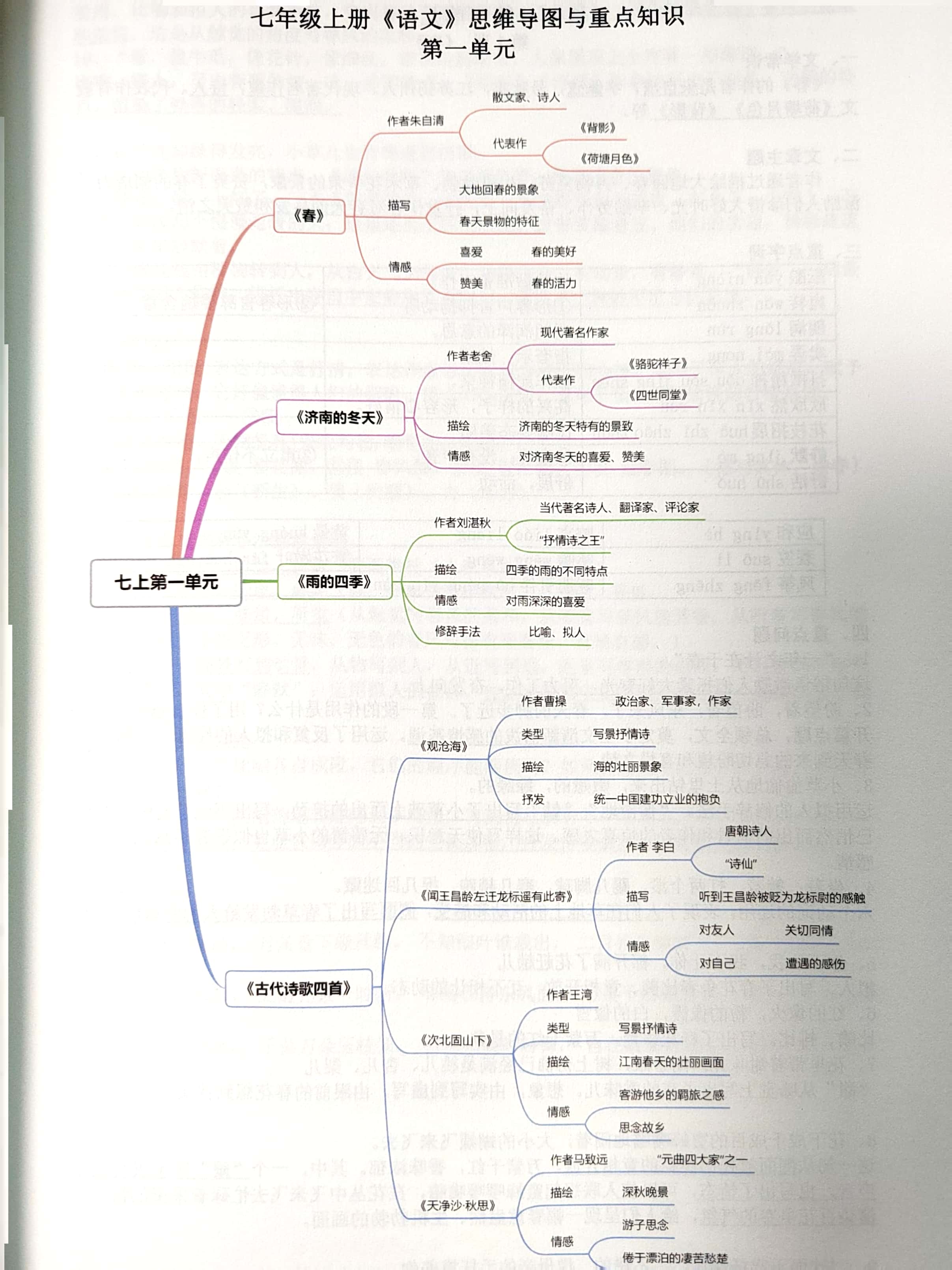 初一第一单元思维导图图片