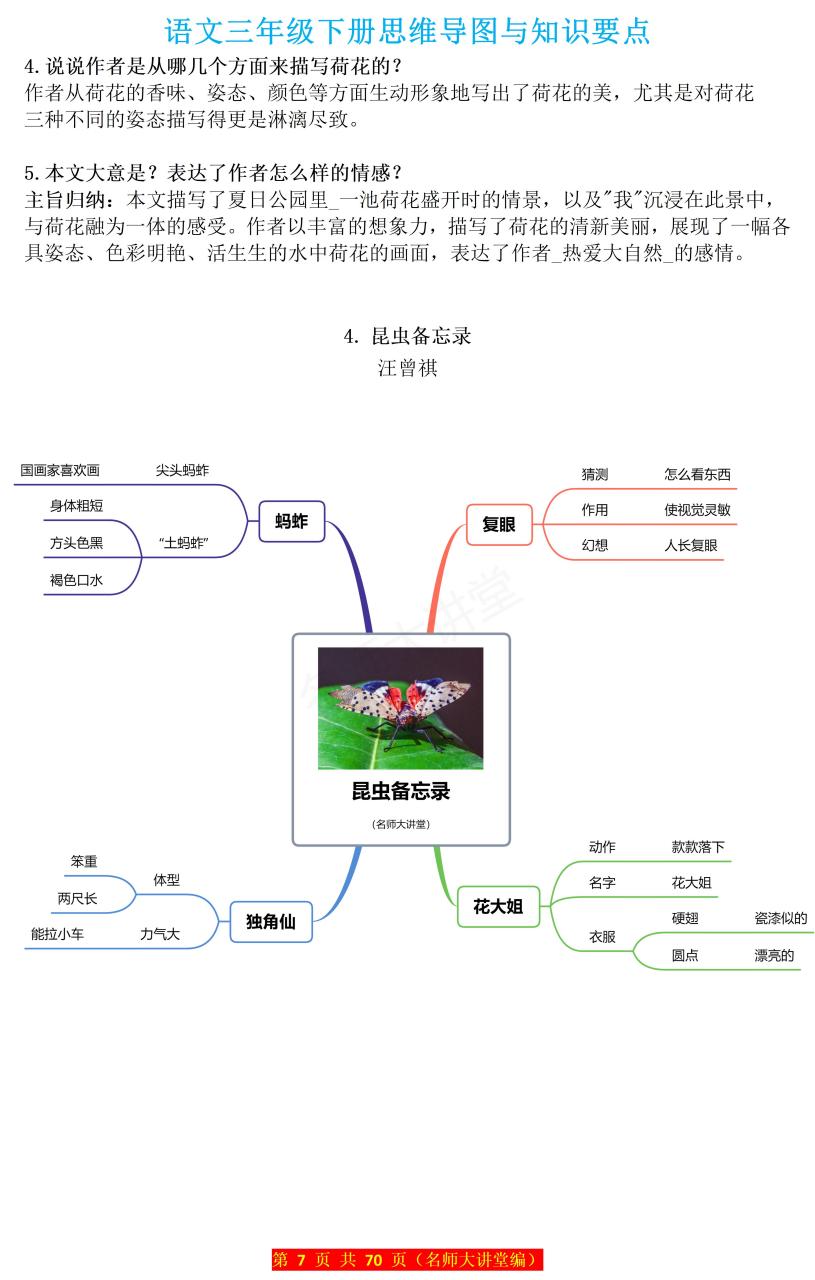 蚱蜢思维导图图片