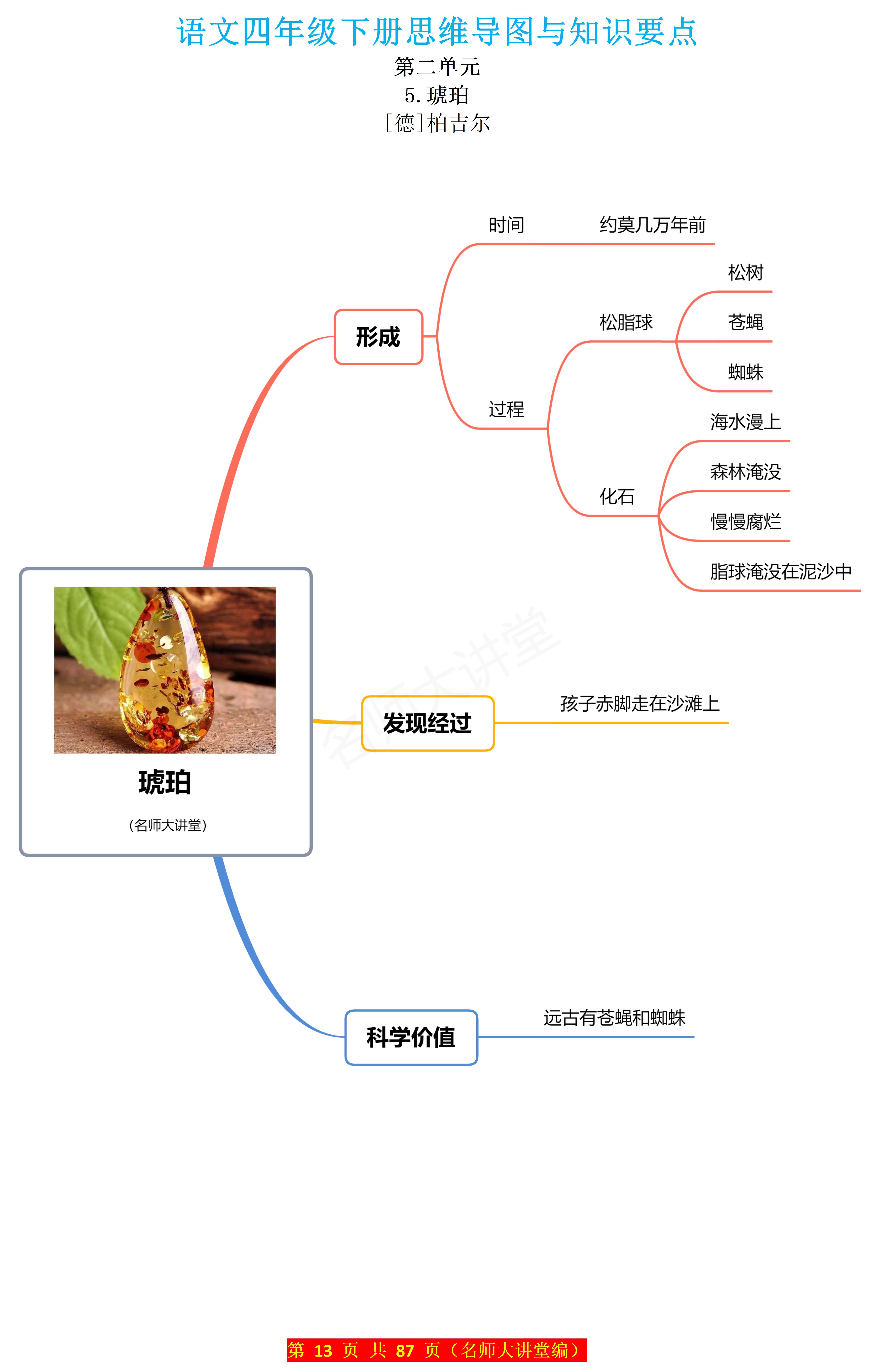 松树的思维导图图片