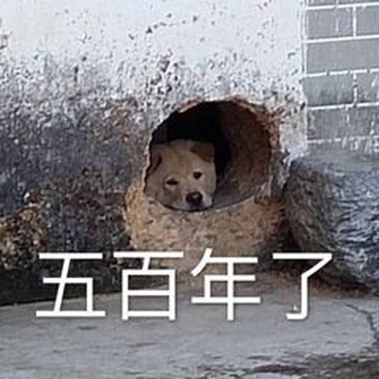 我好想逃,却逃不掉.
