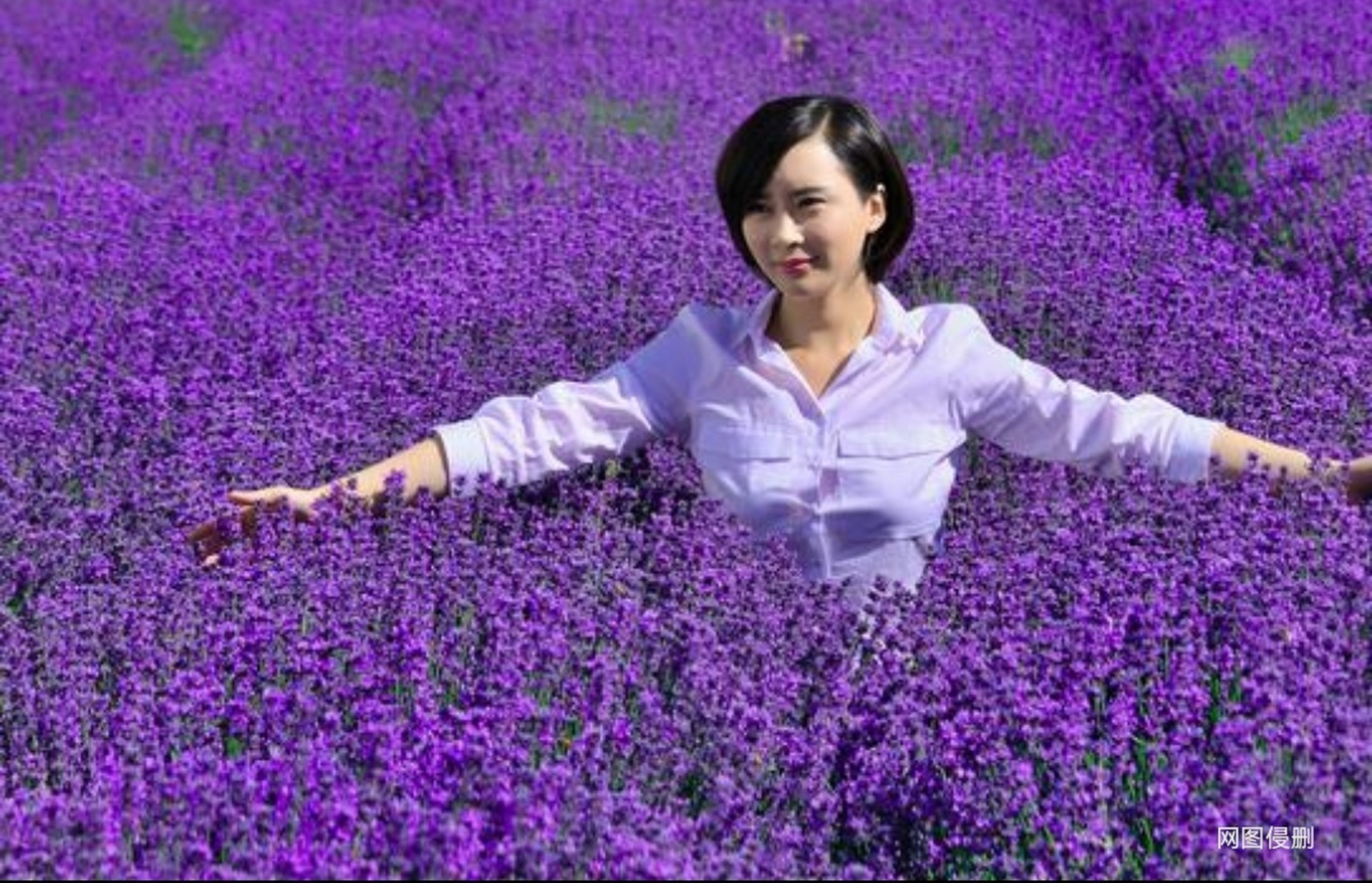 上联:花海傲游沐春光; 下联:请赐[鲜花]