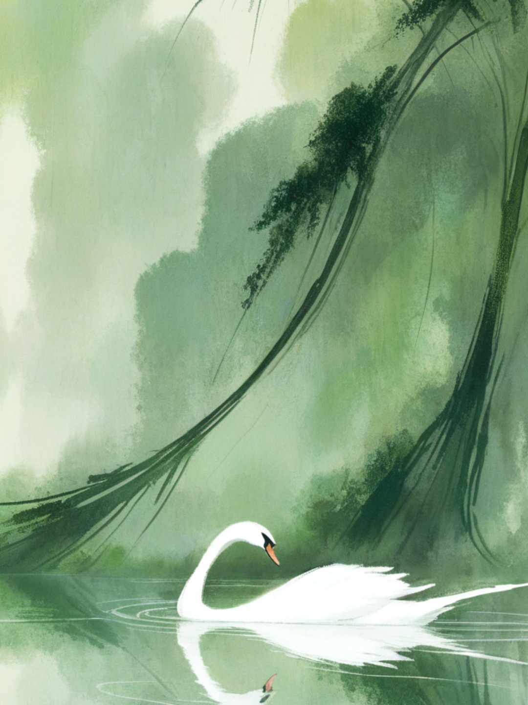 🦢在宁静的湖面上,一只白天鹅优雅地游弋.