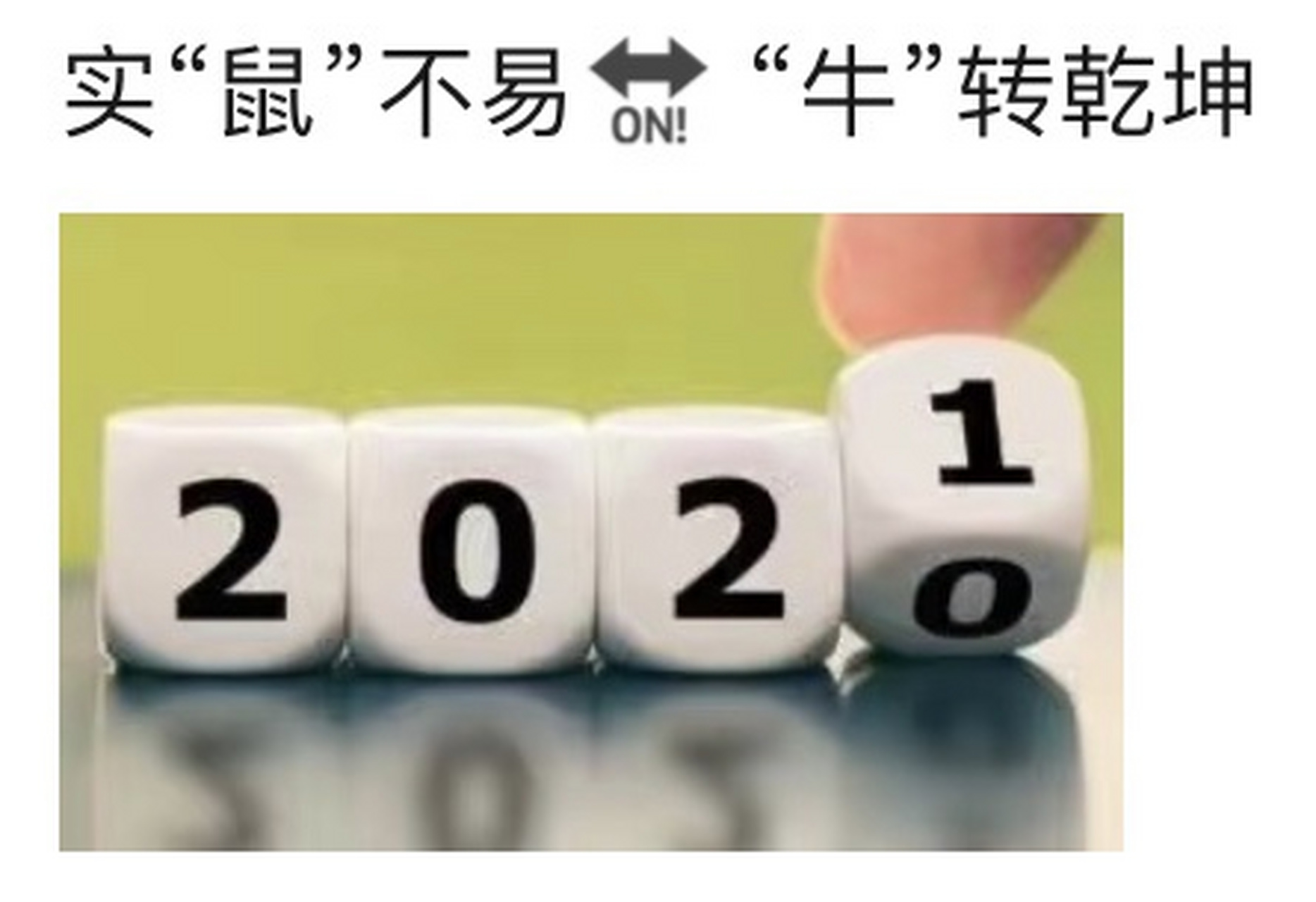 实鼠不易,牛转乾坤