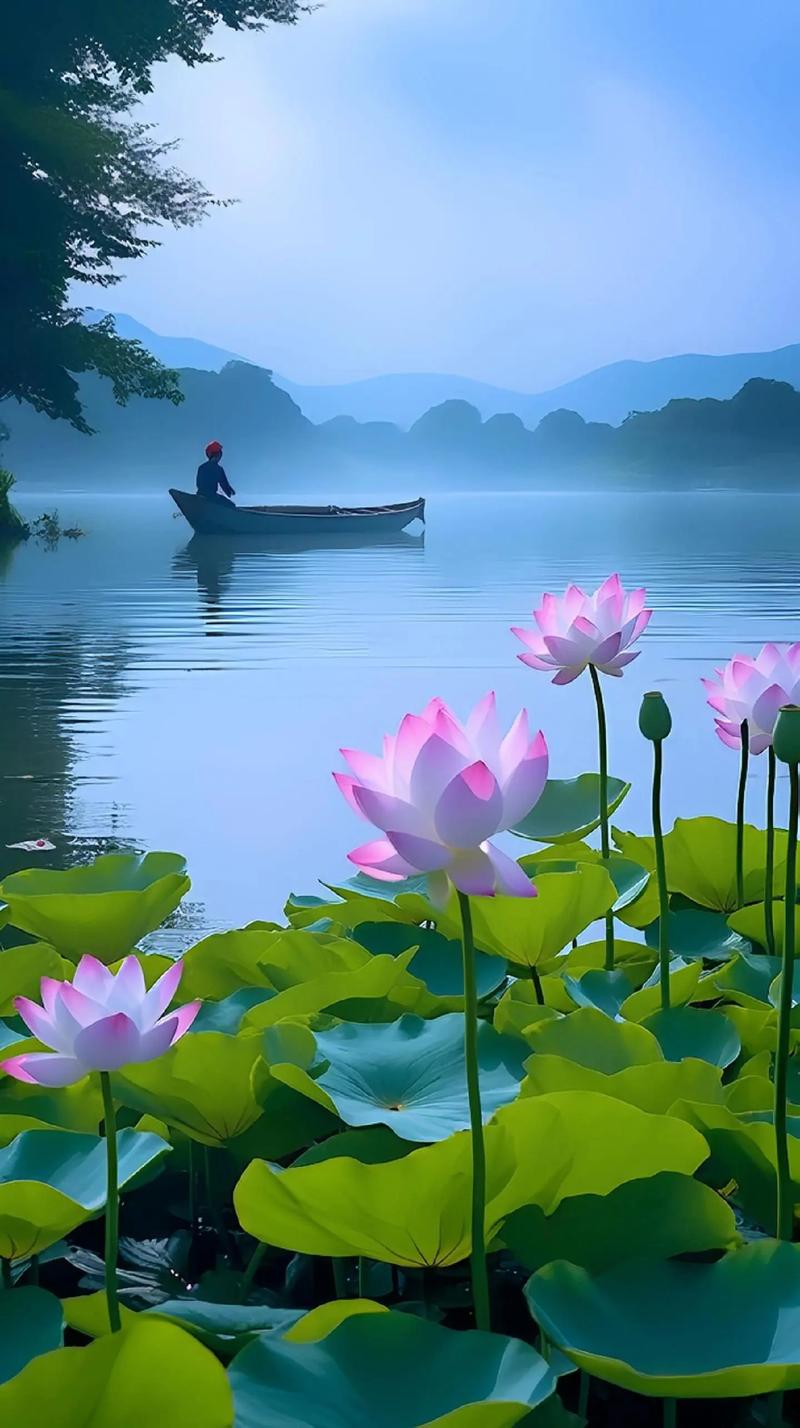 水歌曲背景图片兰花雨天图片高清半亩方塘的意境图水光潋滟晴方好图画