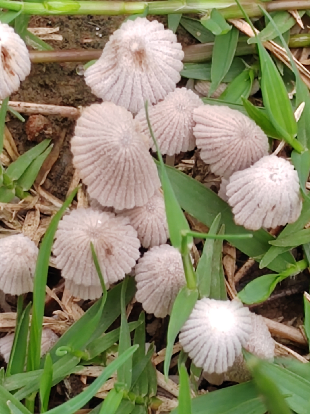 1080_1440竖版 竖屏