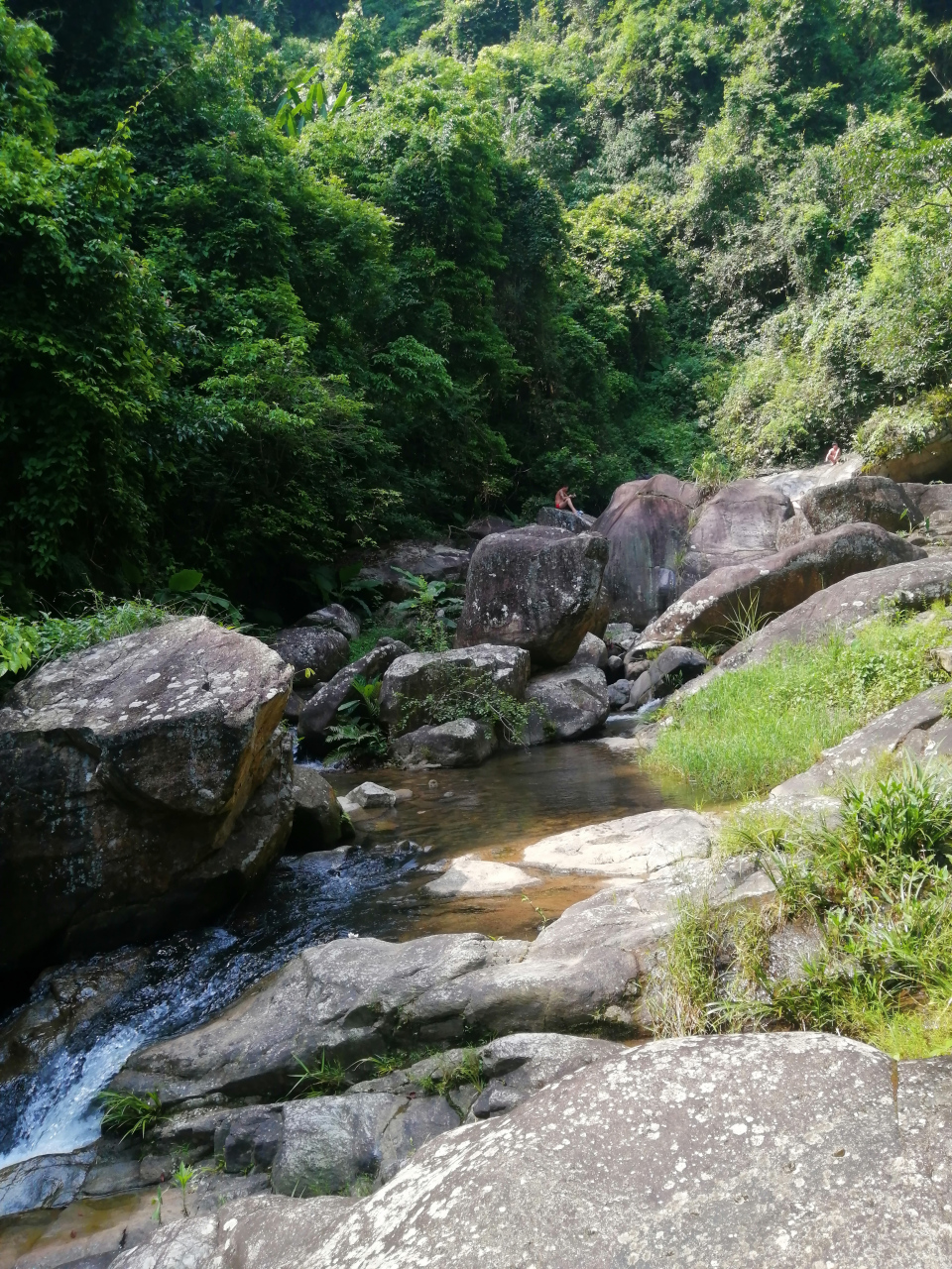 阳光灿烂,天气酷热难当,我们一家三口来到信宜天马山游玩