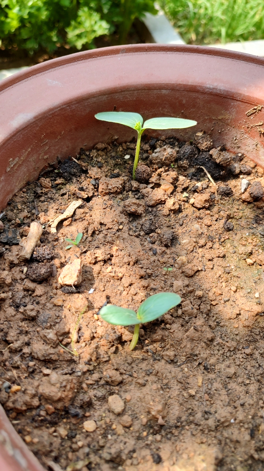 仍旧想你,在三百六十五天里