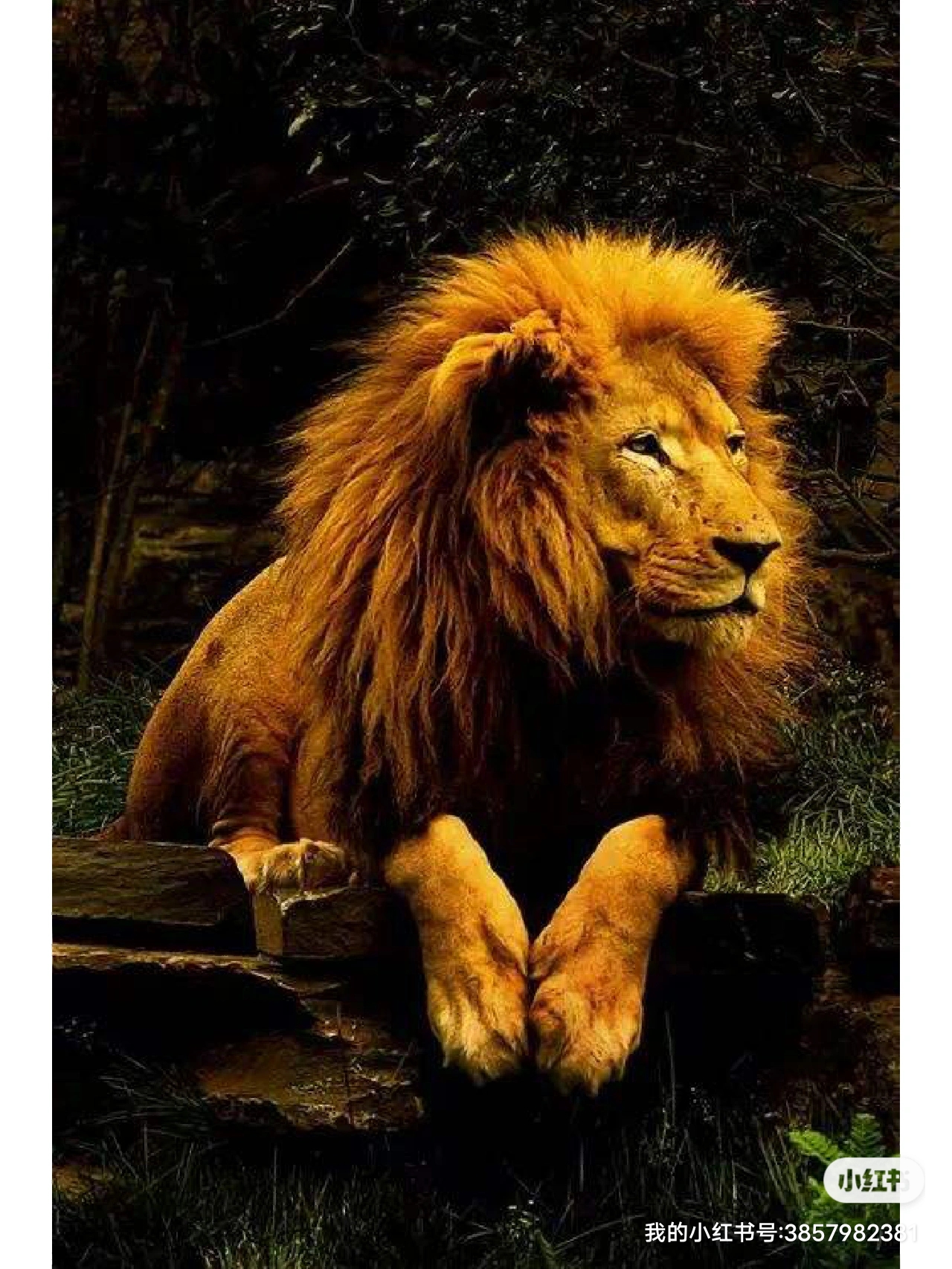 弱肉强食, 强者要食, 必须吃众.