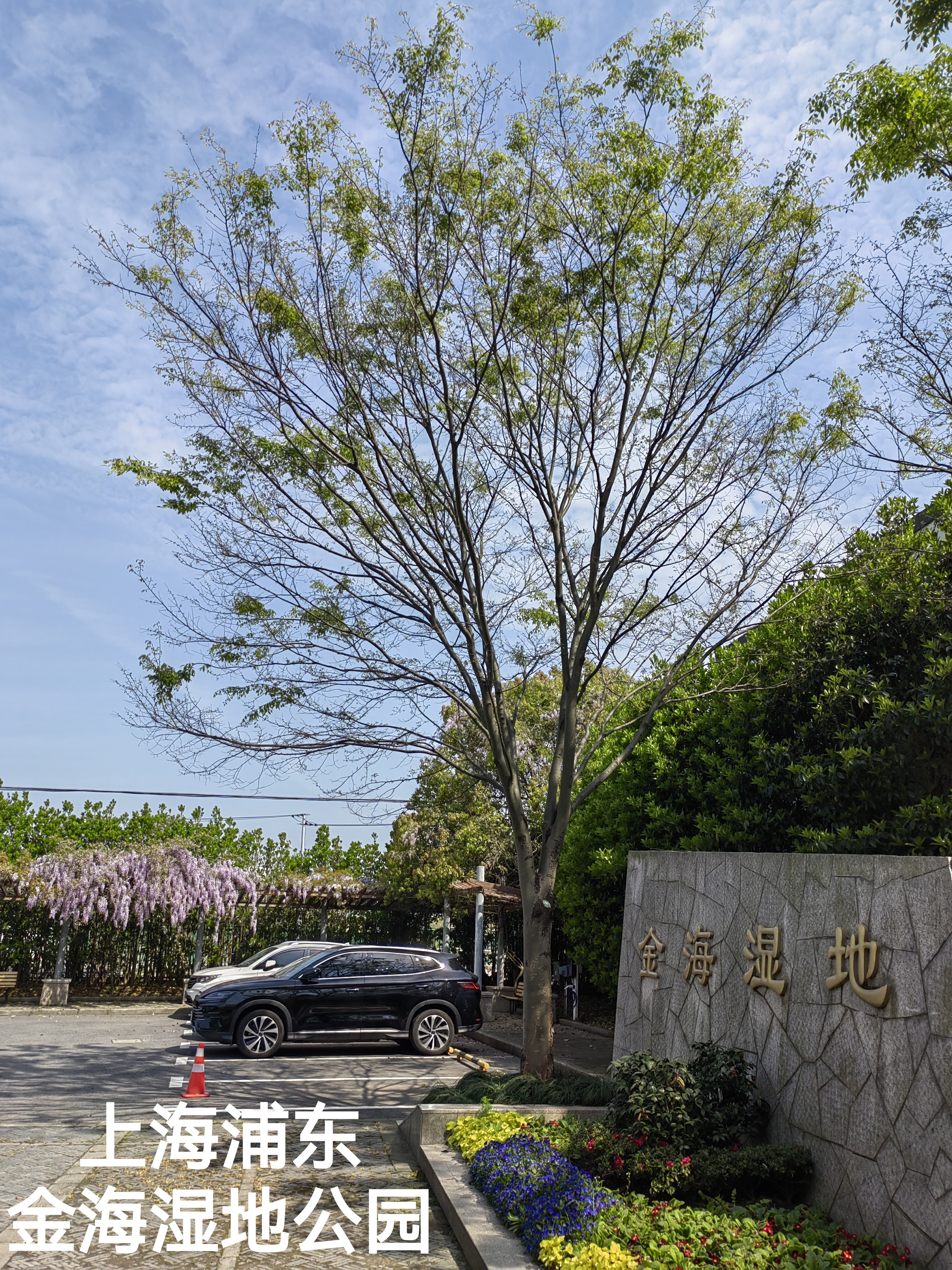 浦东金海湿地公园门票图片