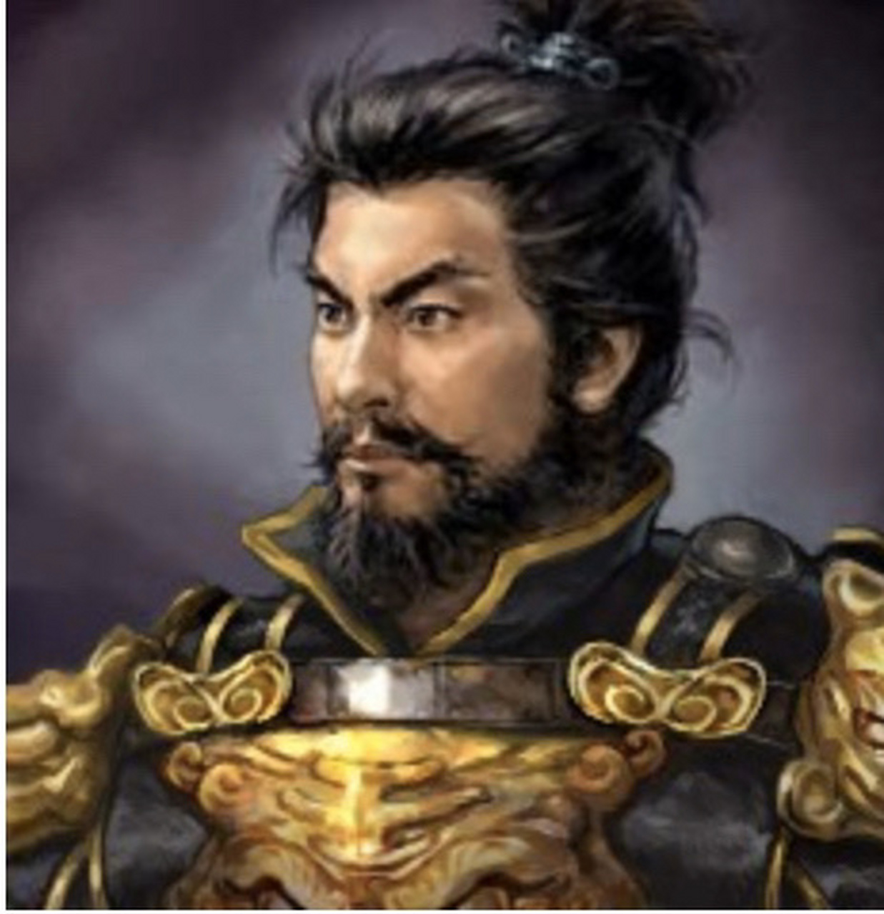 杨定,前秦将领,氐族人,是杨宋奴之孙,杨佛奴之子.