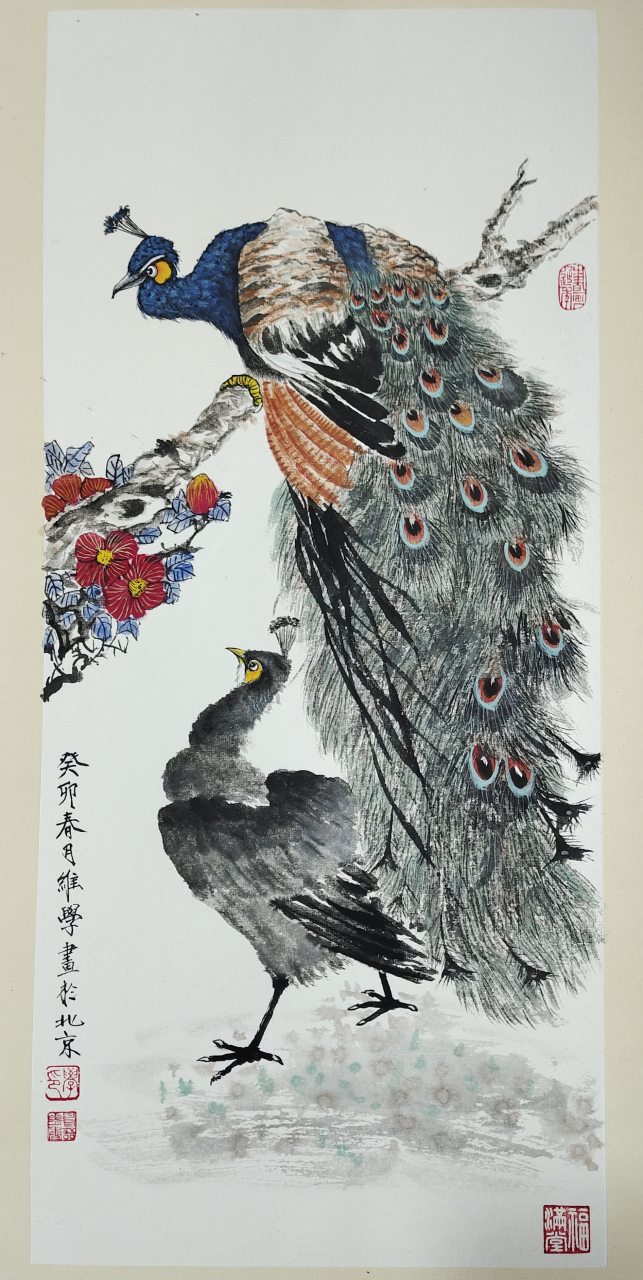 名家画作欣赏# 孔雀