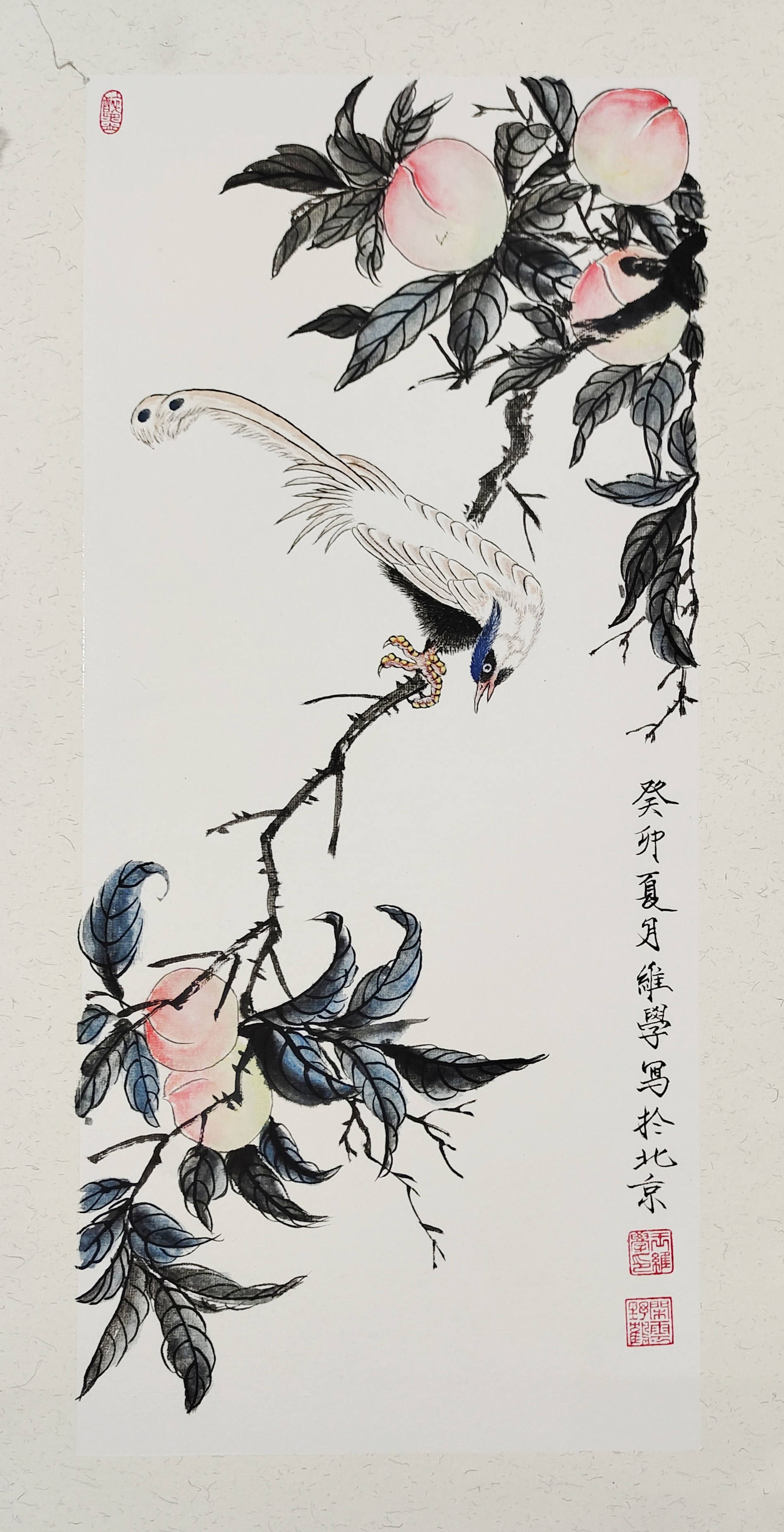 七月是热的天,也是水果盛产时节;孩子们的假期,白天