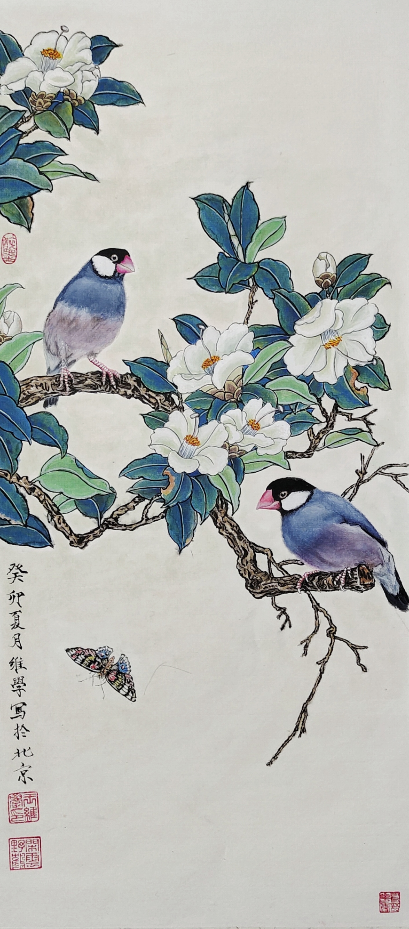 山茶花双雀图
