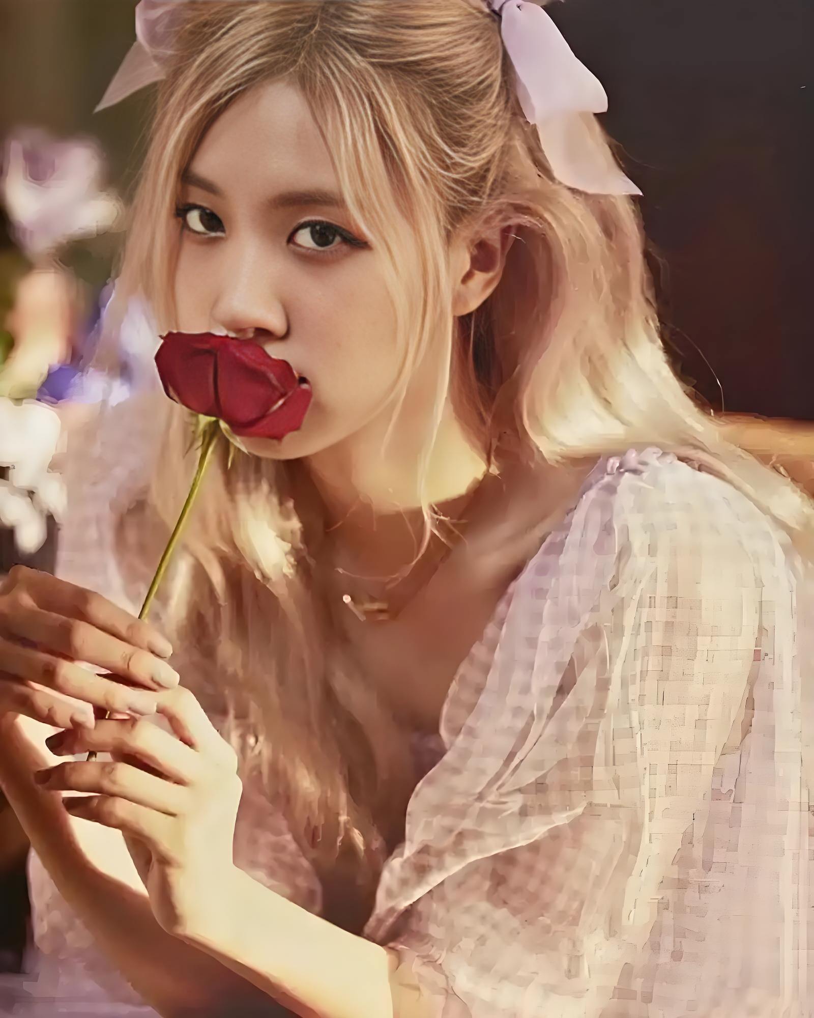 rose绝美图片
