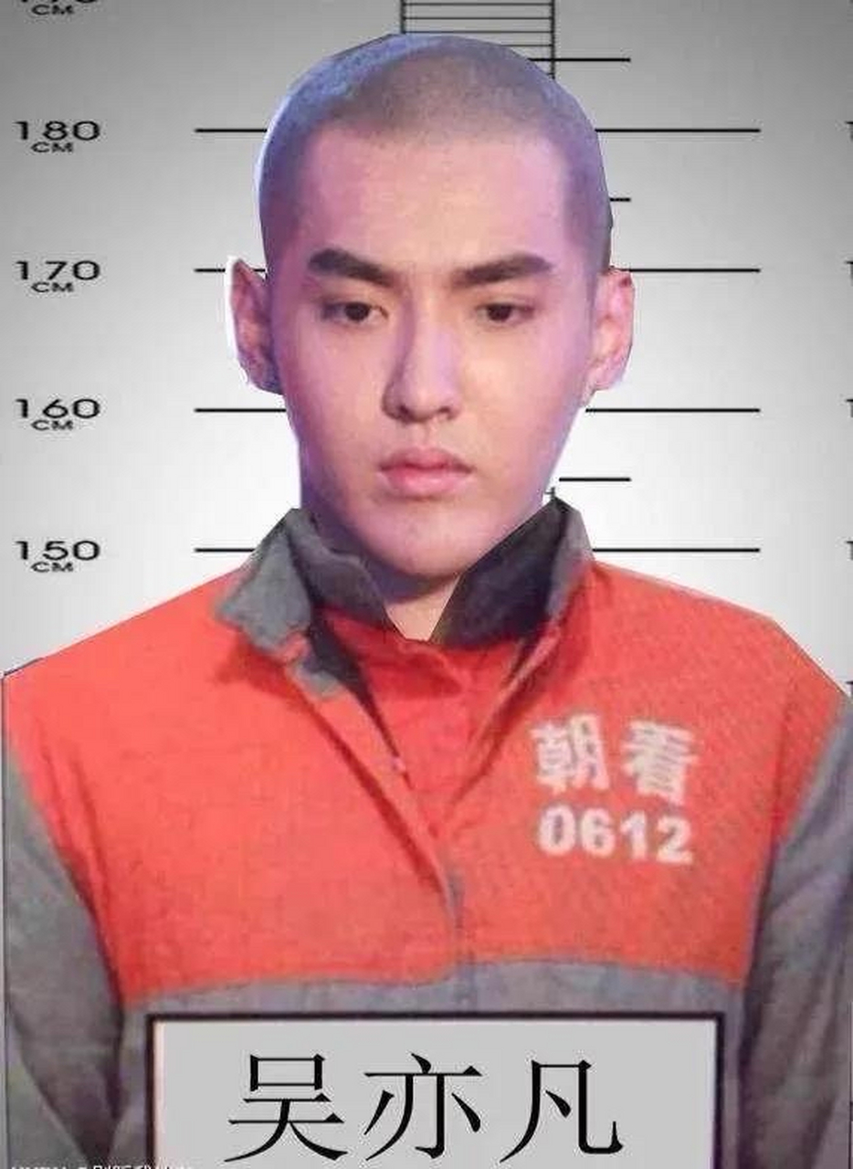 维持一审判决,吴亦凡被判有期徒刑十三年附加驱逐出境