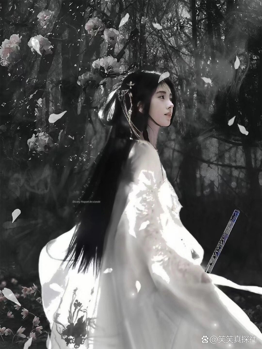 猜猜哪个不是鞠婧祎 在花间漫步的@鞠婧祎,携带着古风的韵味,宛如从
