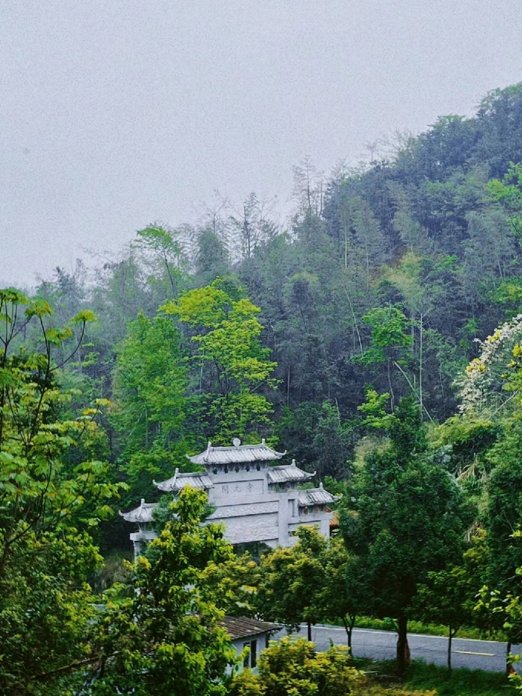 岳麓山的图片图片