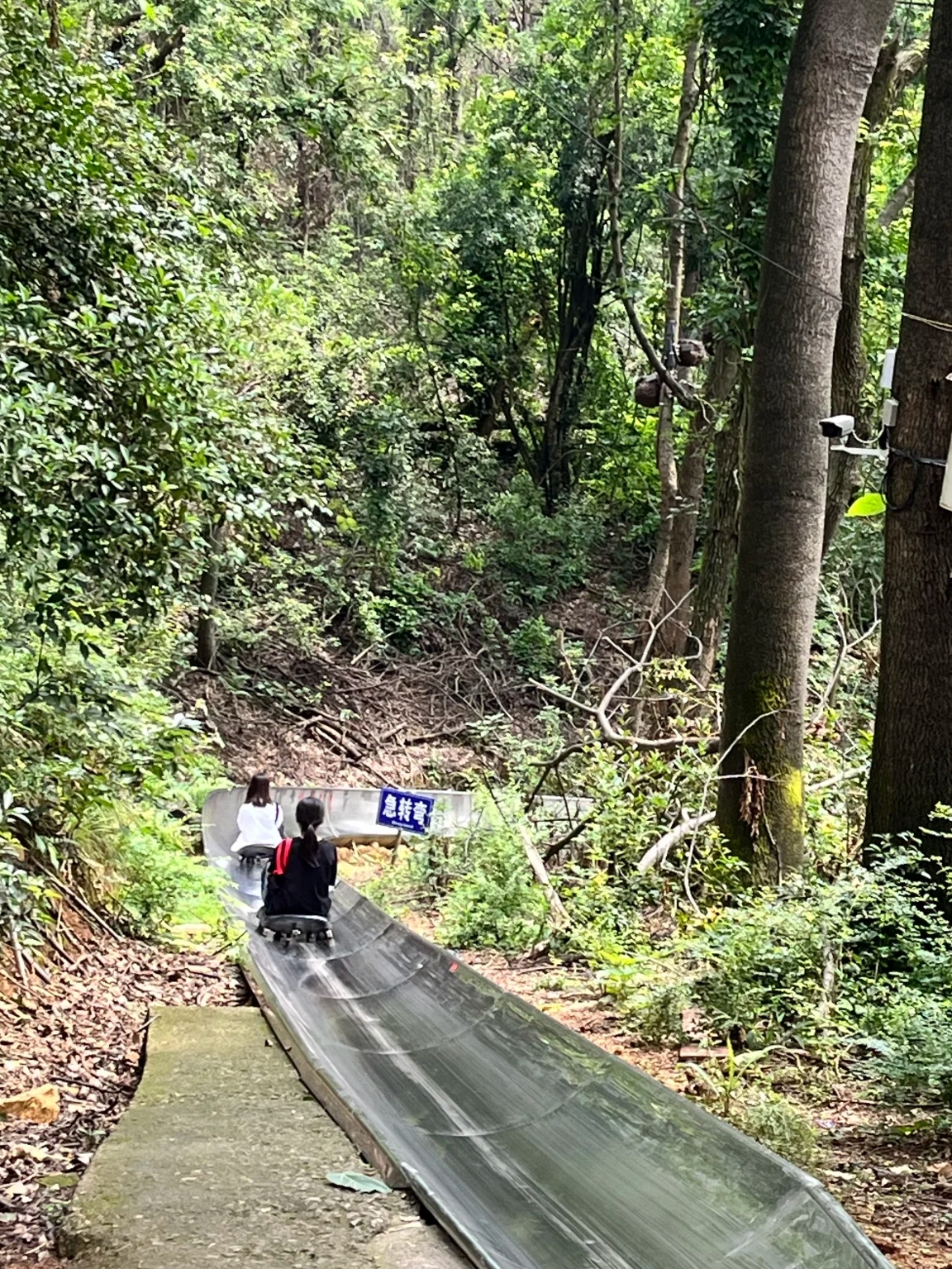 岳麓山滑道体重限制图片