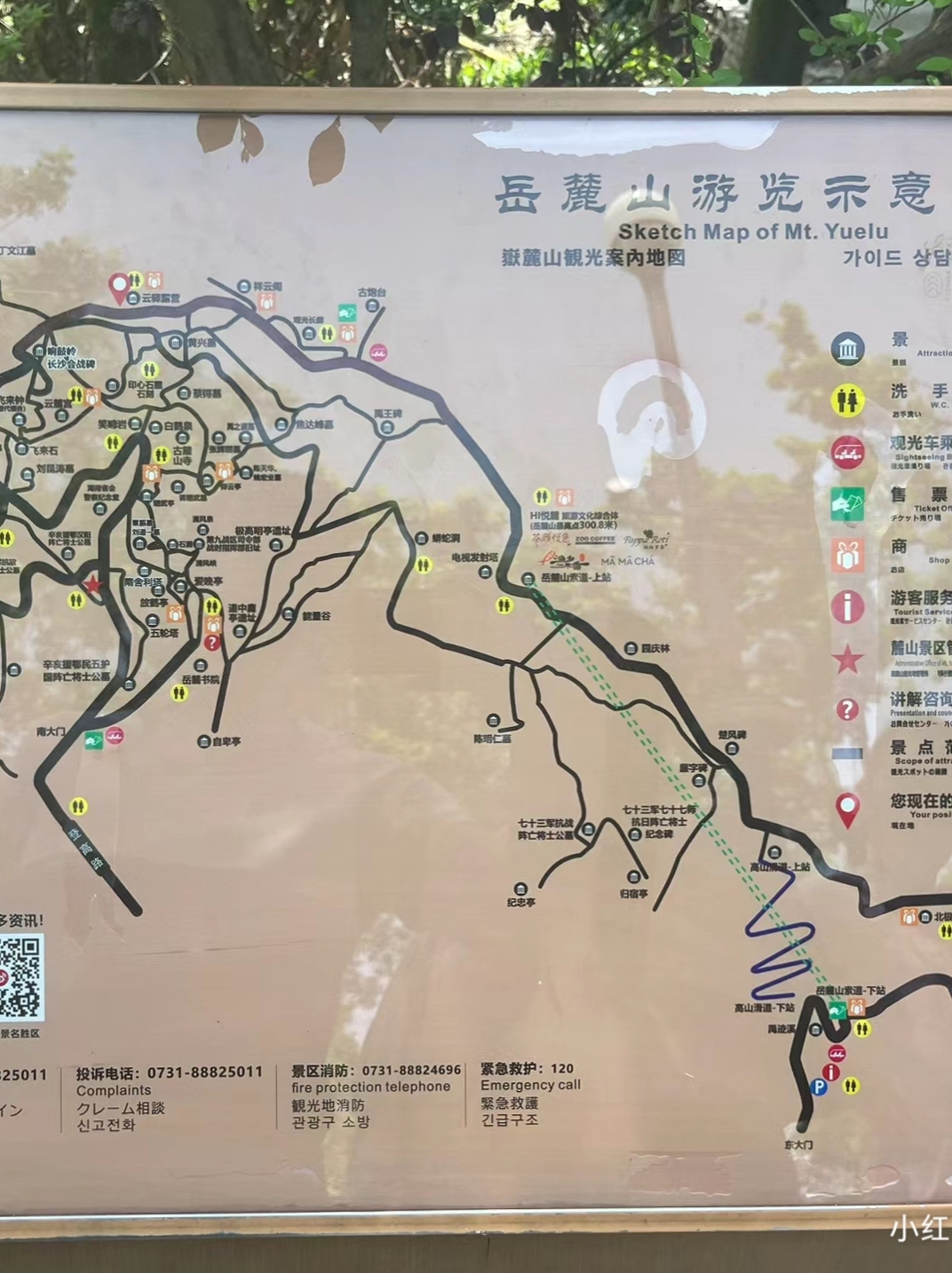 岳麓山景区导游图图片