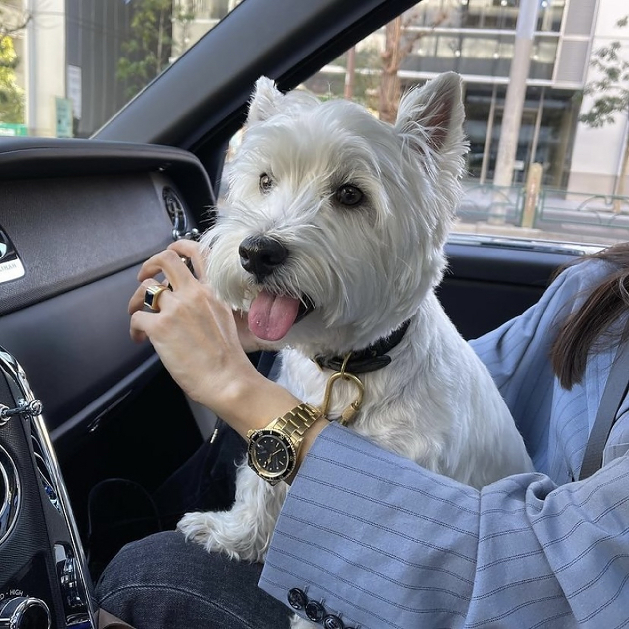 neighborhood主理人泷泽伸介的  老婆  #时尚