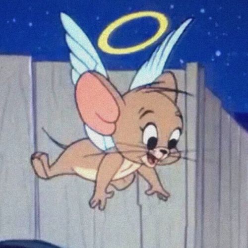 猫和老鼠头像,有需要的吗?