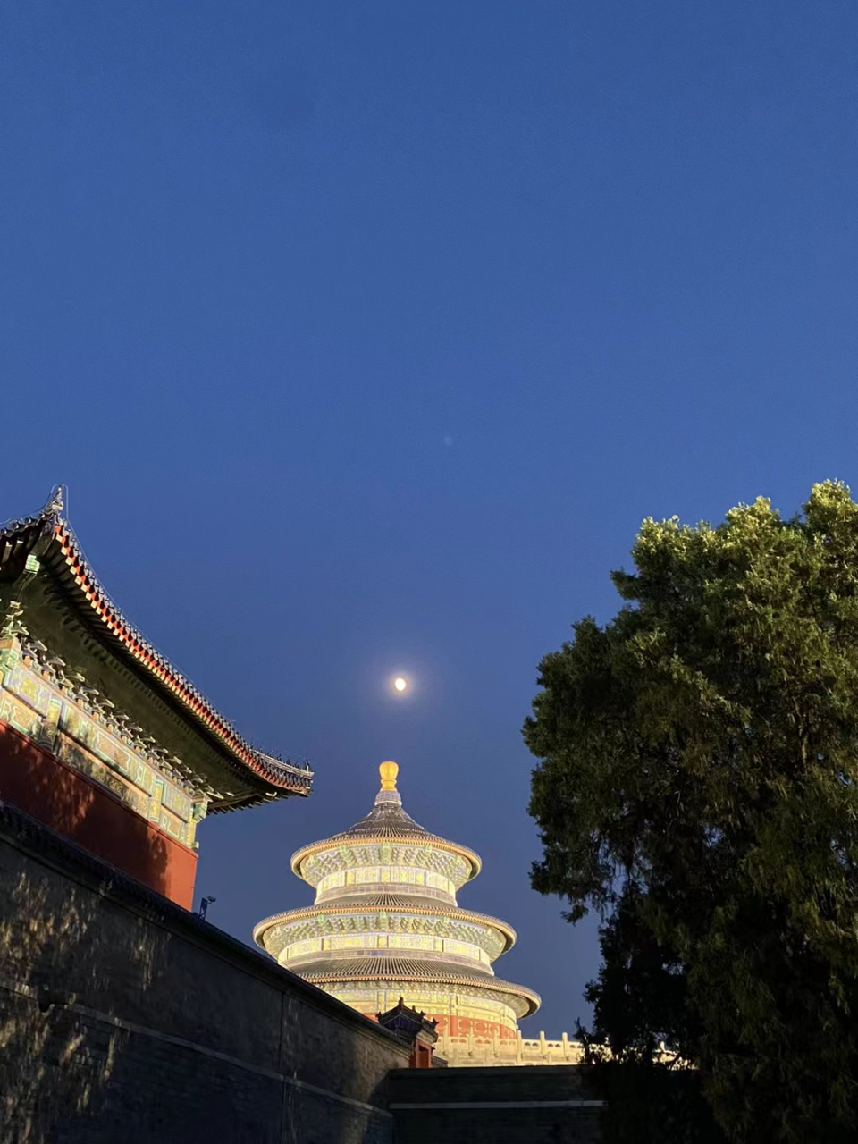 北京天坛公园夜景  #北京天坛公园# #北京随手拍
