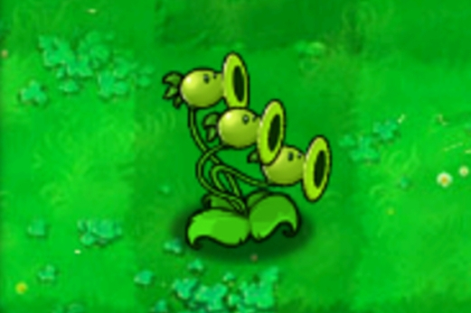 三线射手 本植物的特点是发射豌豆攻击前方三行内的第一个目标,每次